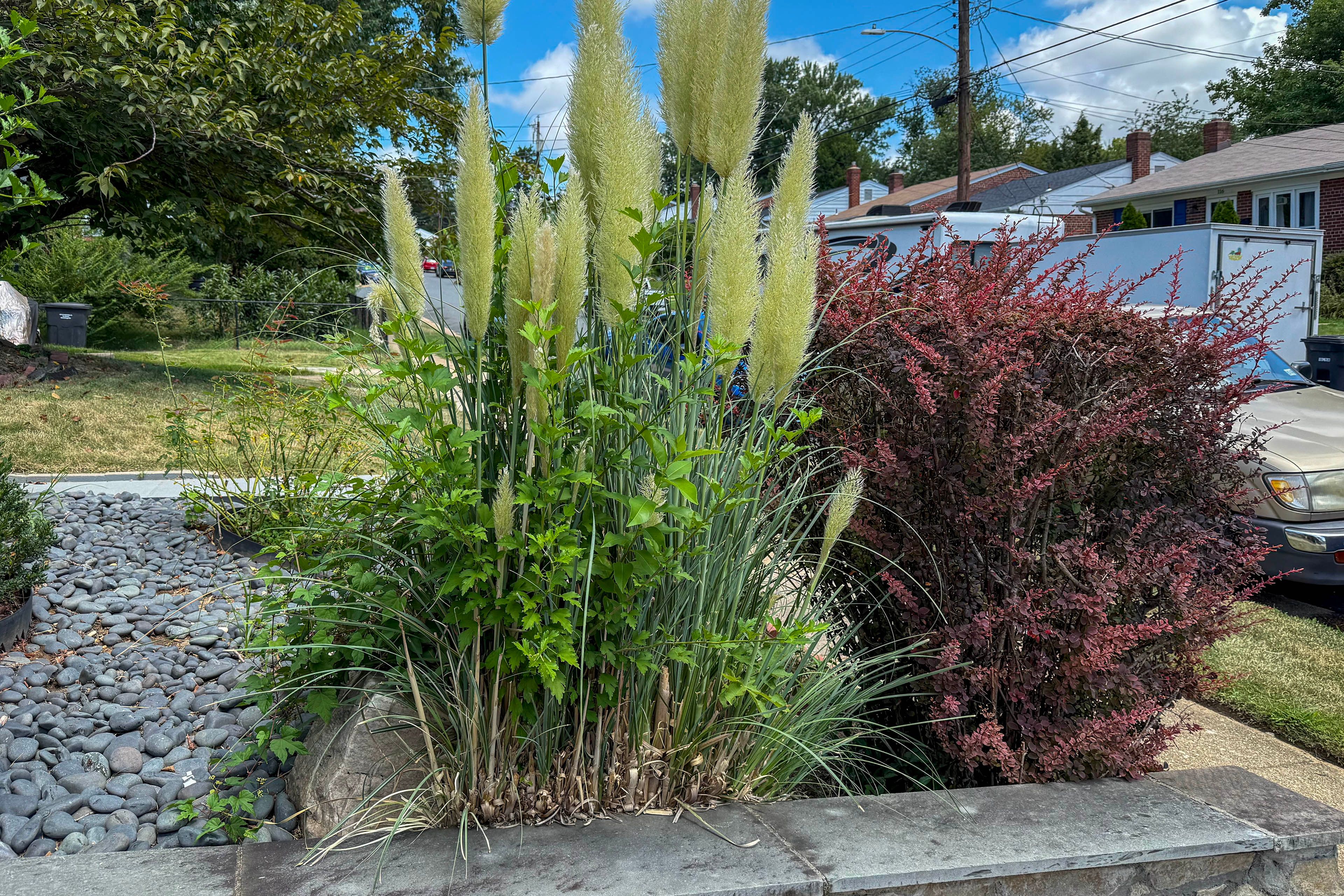 Driveway Parking | 1 Vehicle