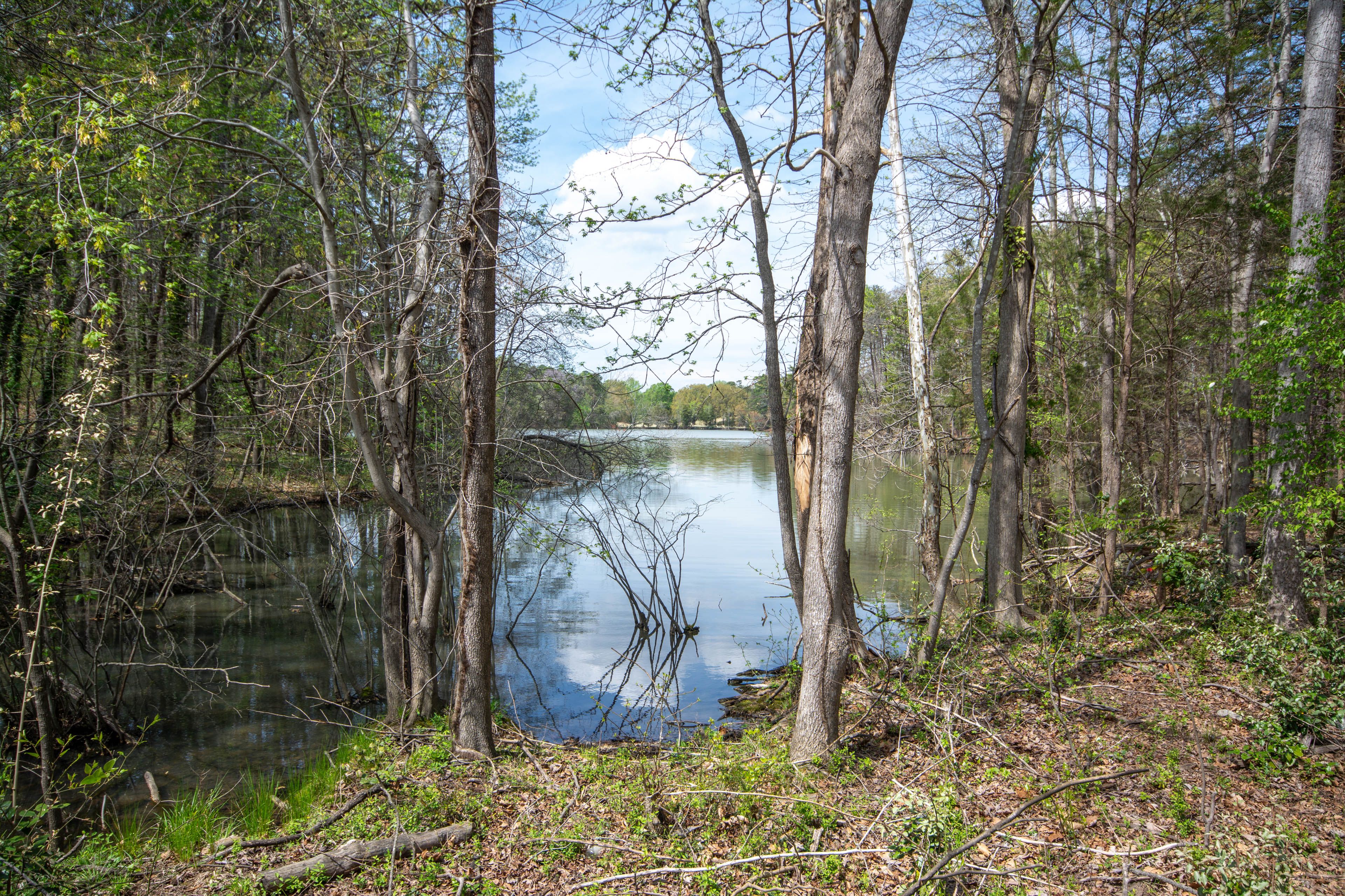 Waterfront Community | Oak Hollow Lake Views (No Direct Access)