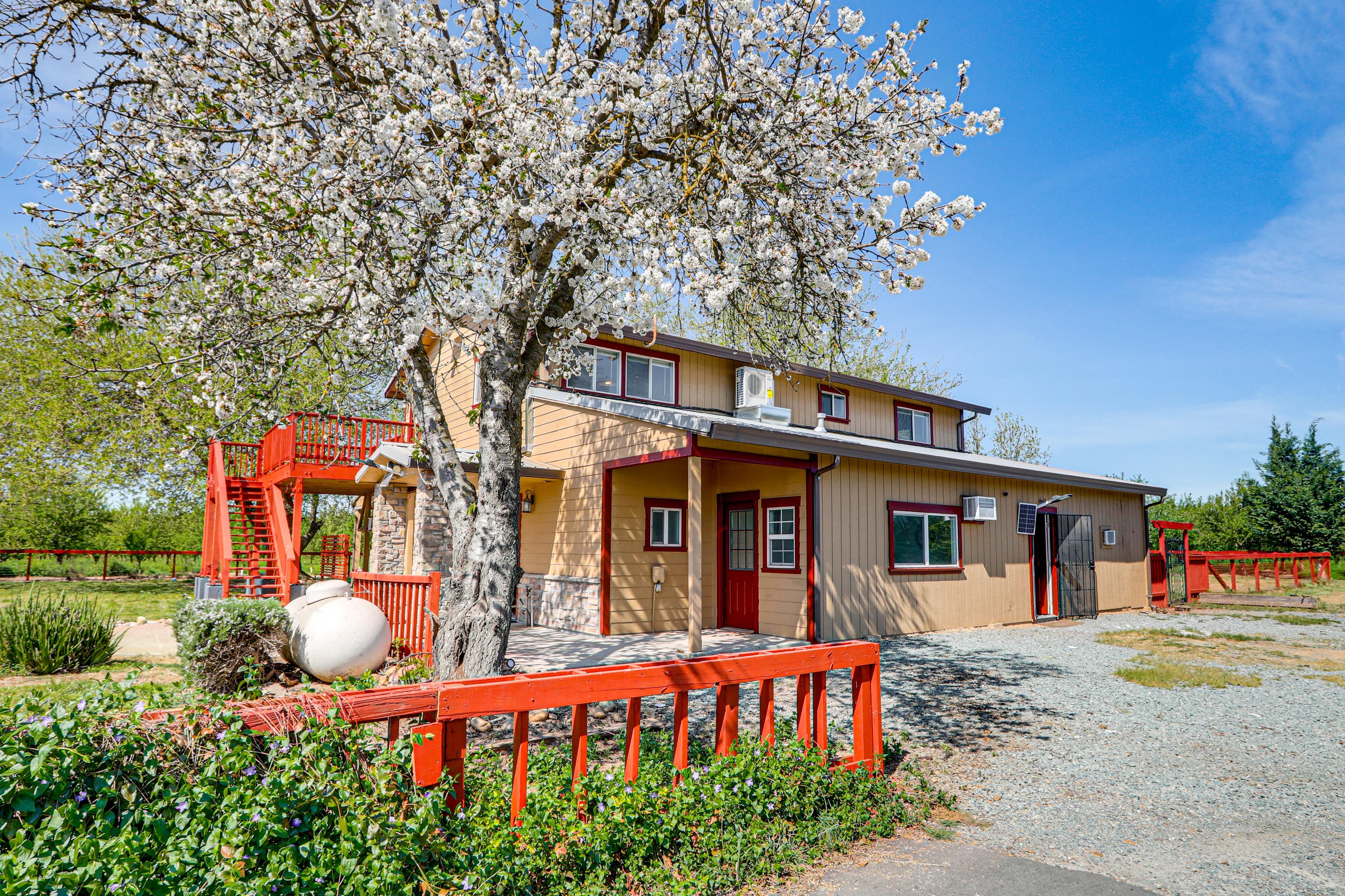 Property Exterior | Shared Driveway (1 Vehicle)