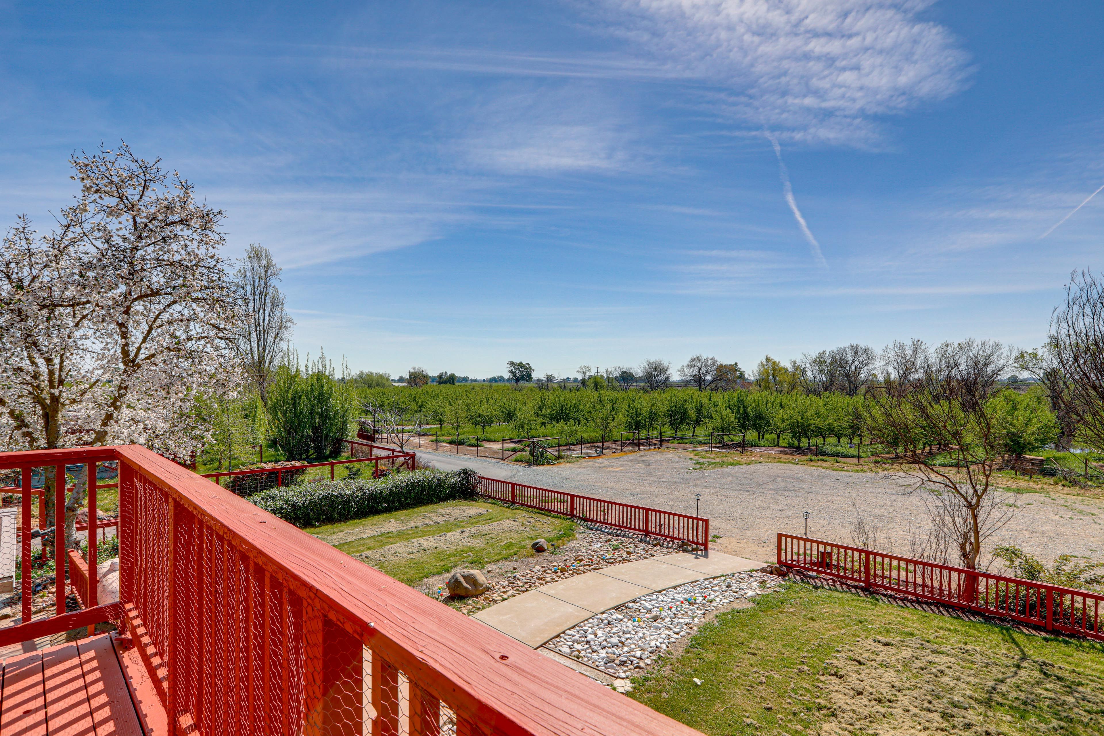 Galt Vacation Rental | 2BR | 1BA | 1,200 Sq Ft