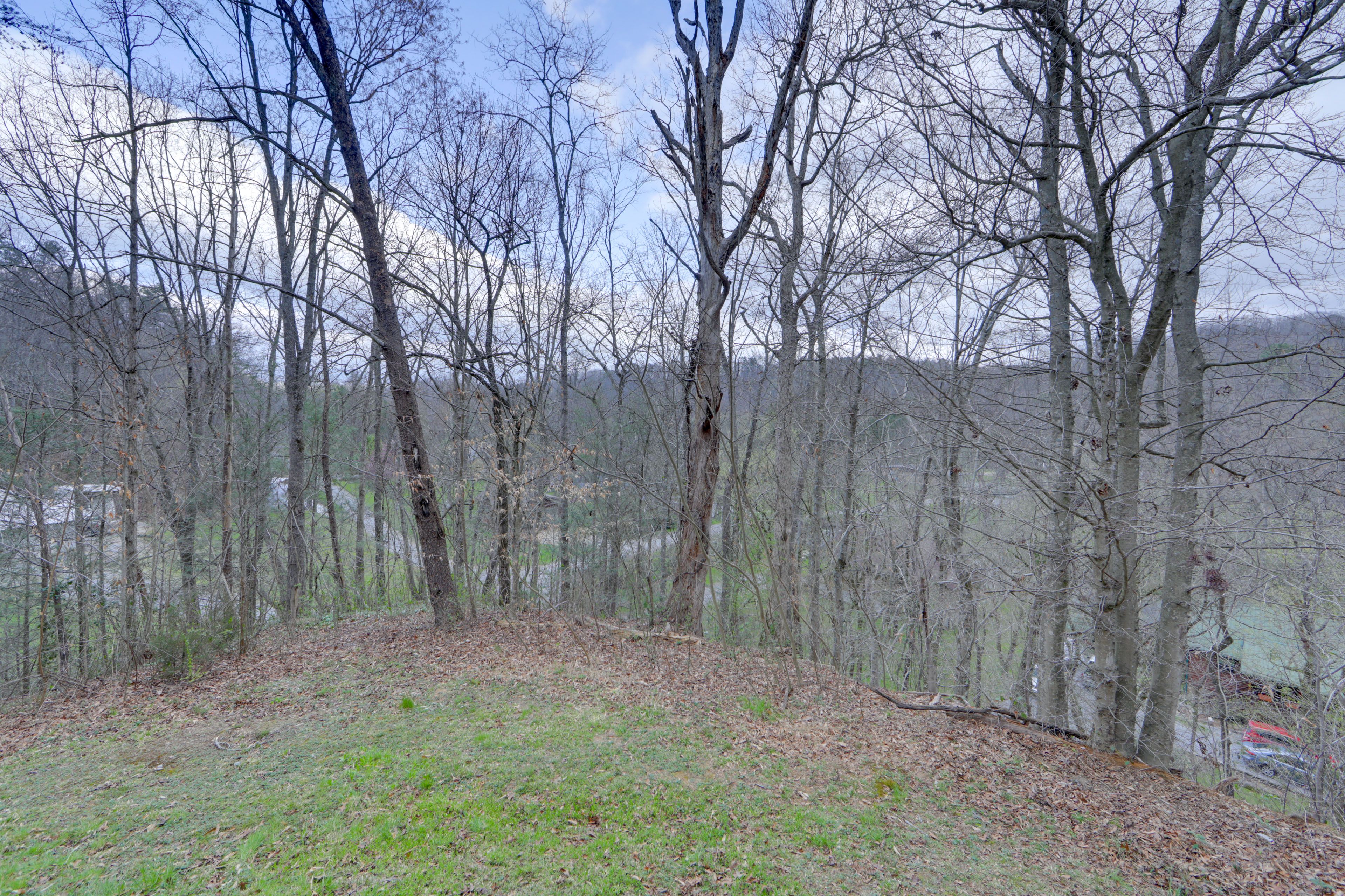 Forested & Mountain Views