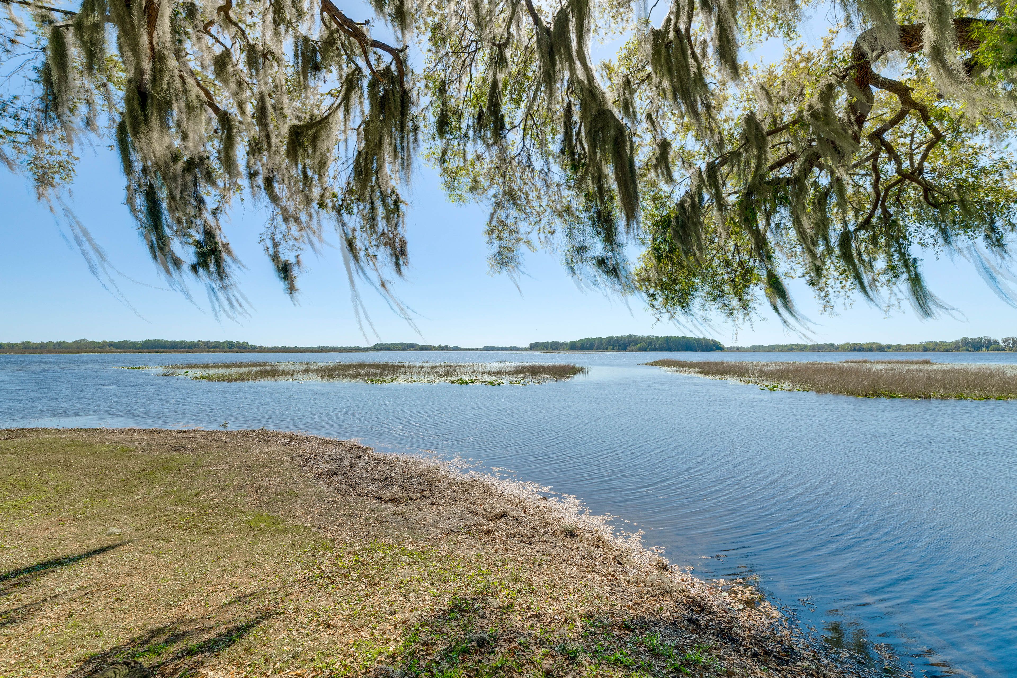 Hernando Lake