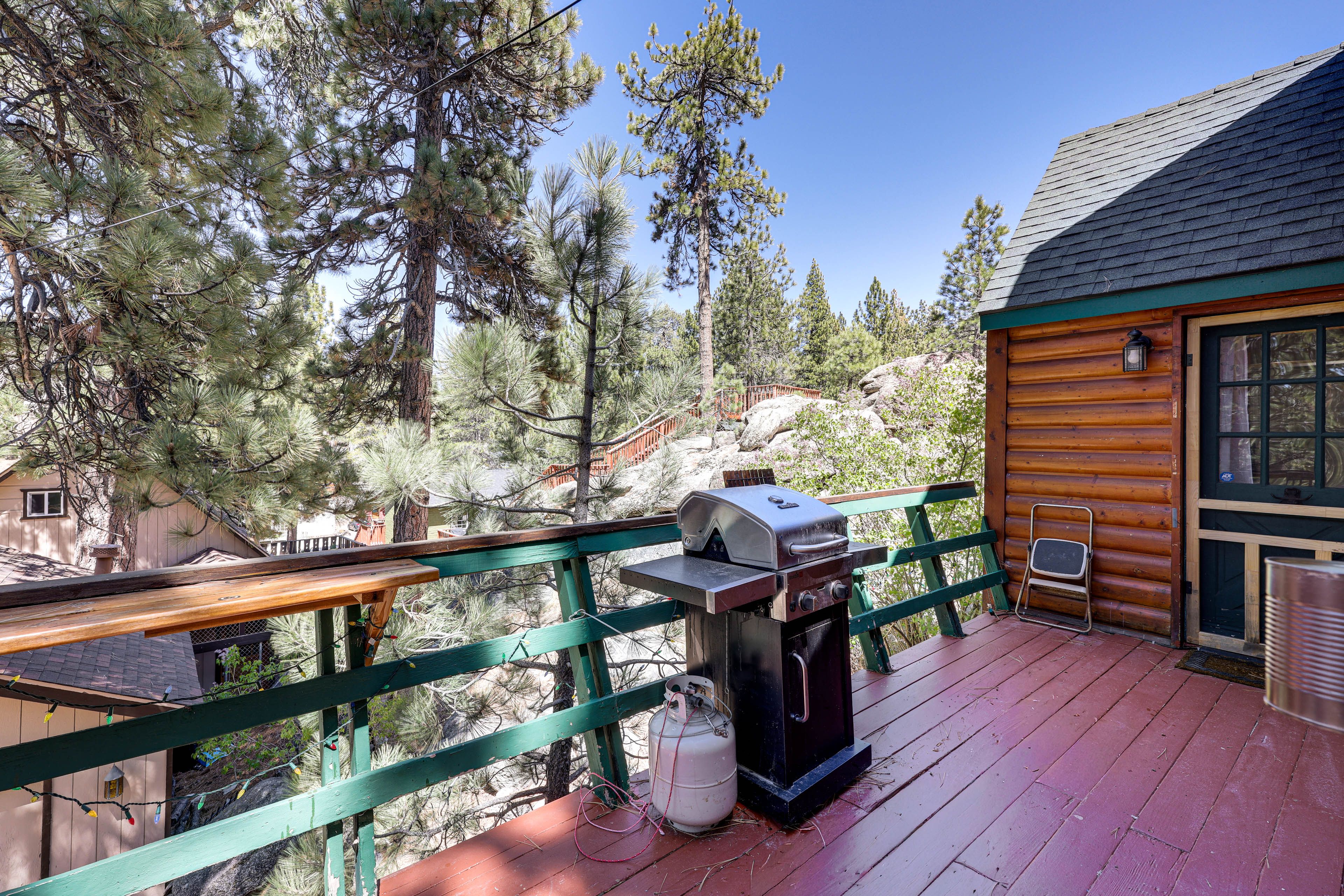 Gas Grill | Outdoor Dining Areas