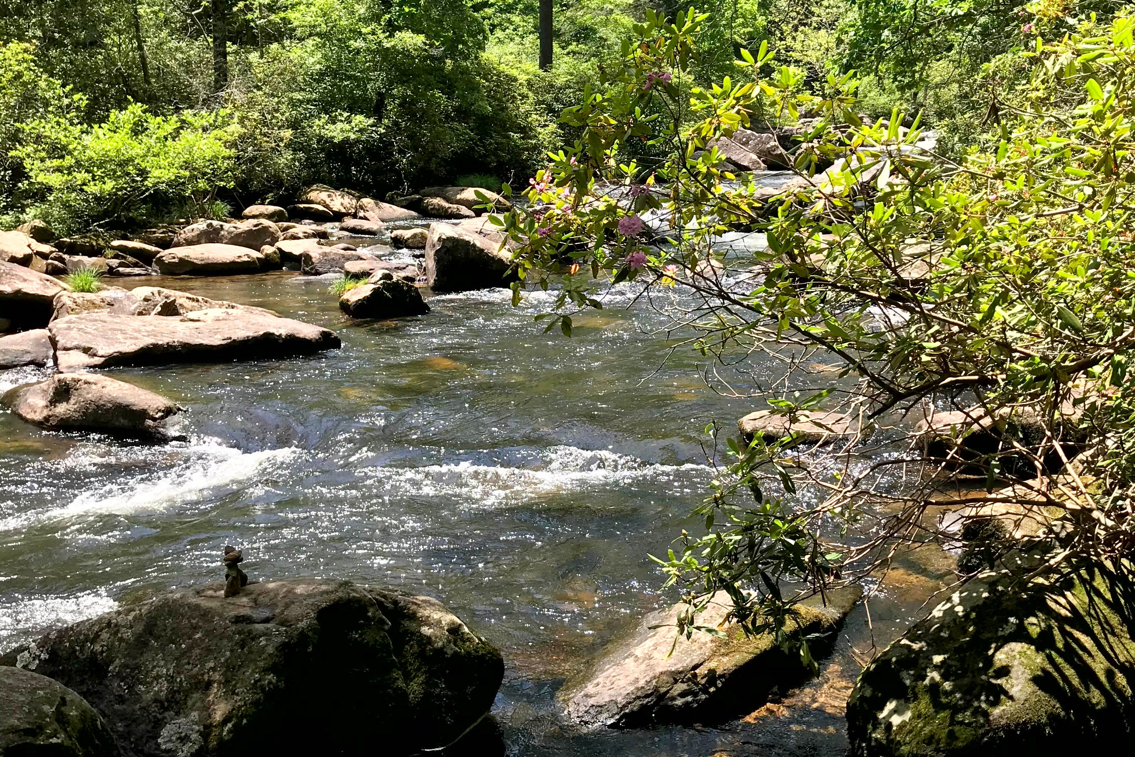 On-Site Creek