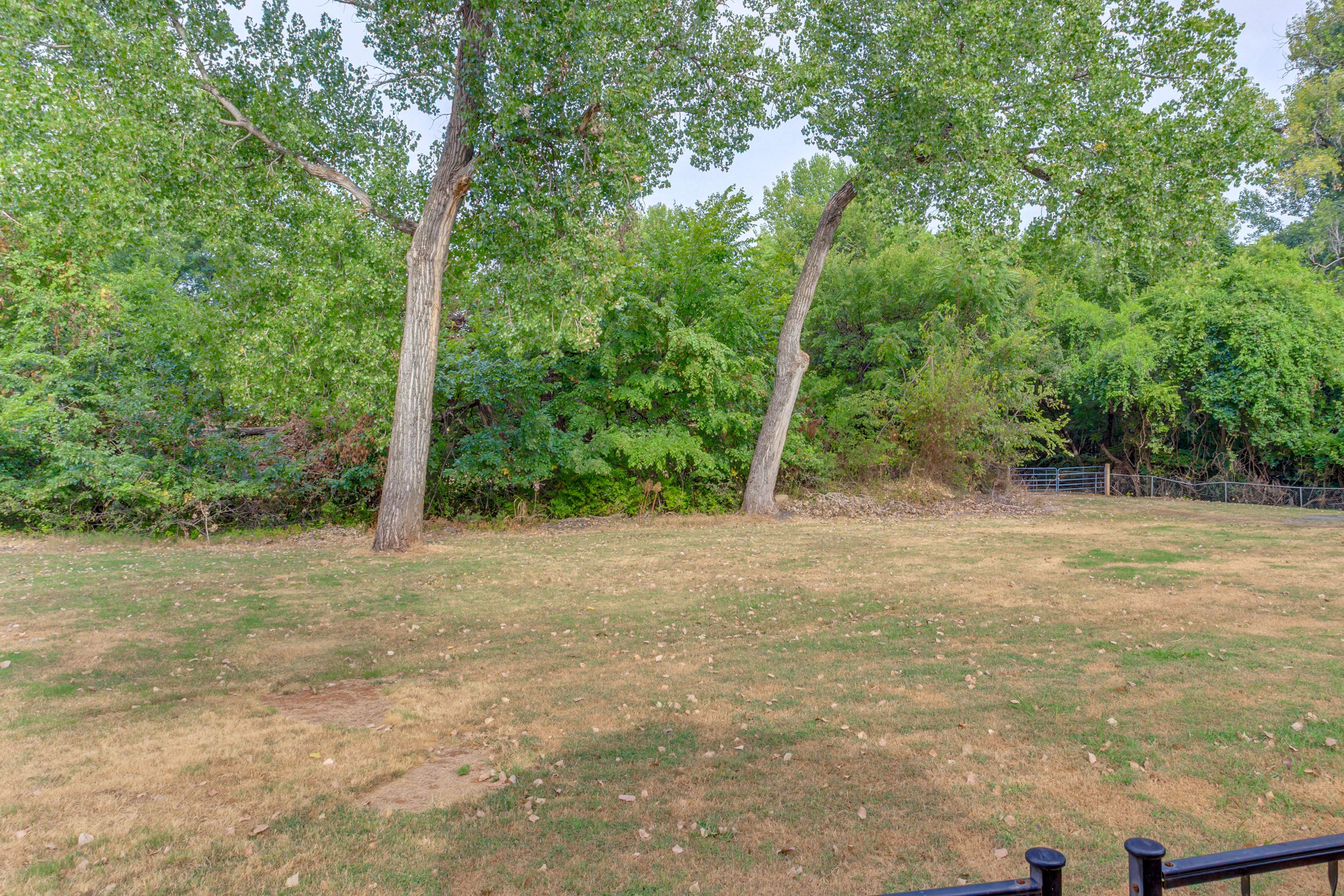 Spacious Yard