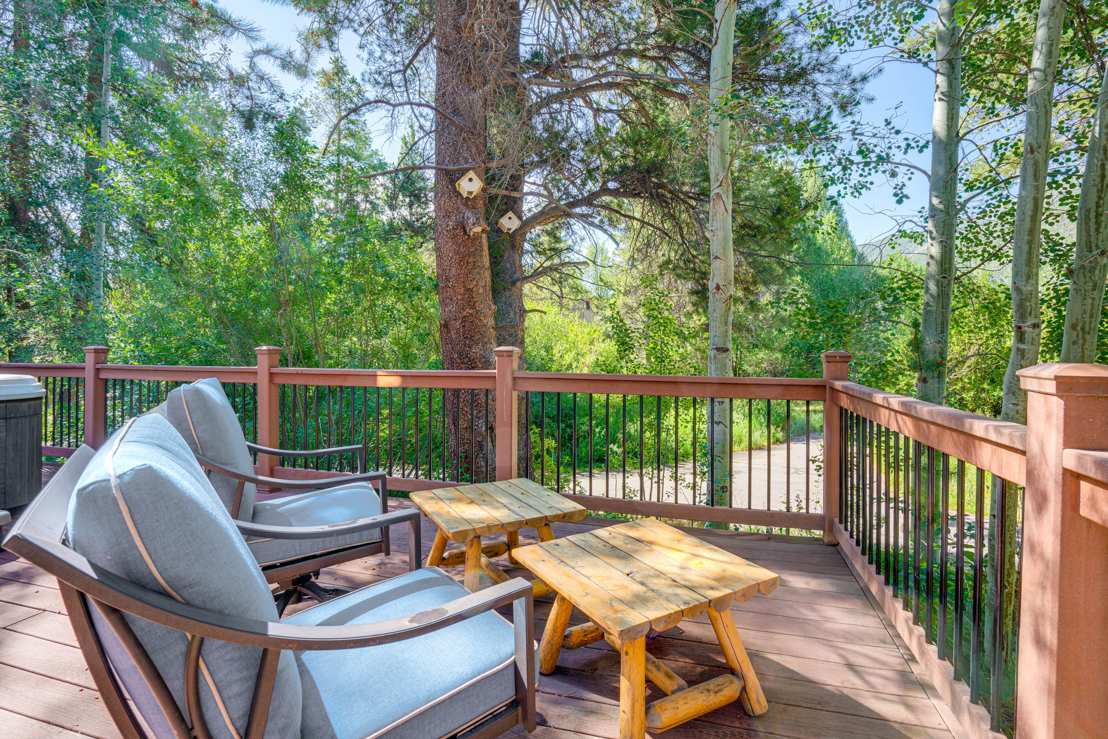 Furnished Deck