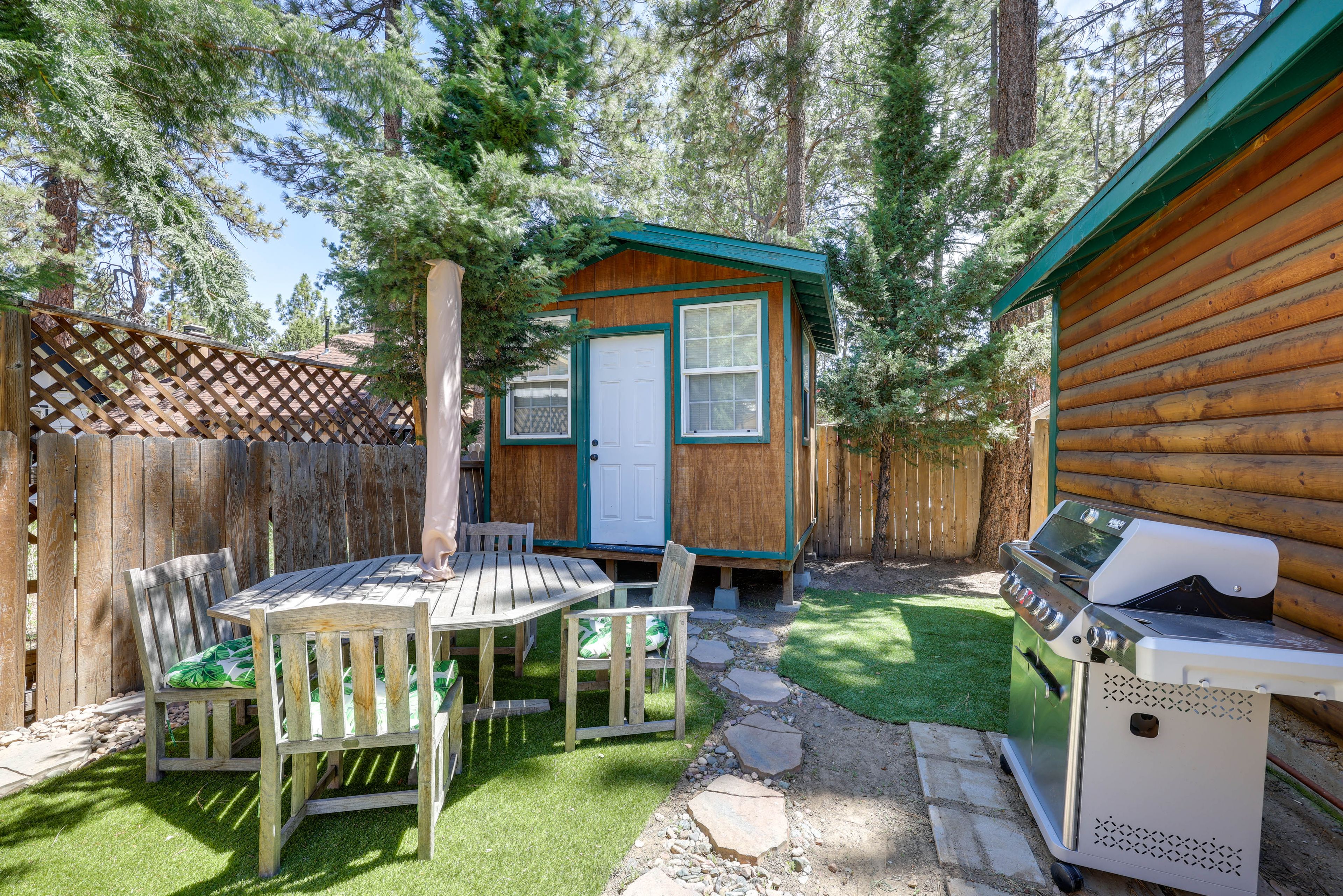 Backyard