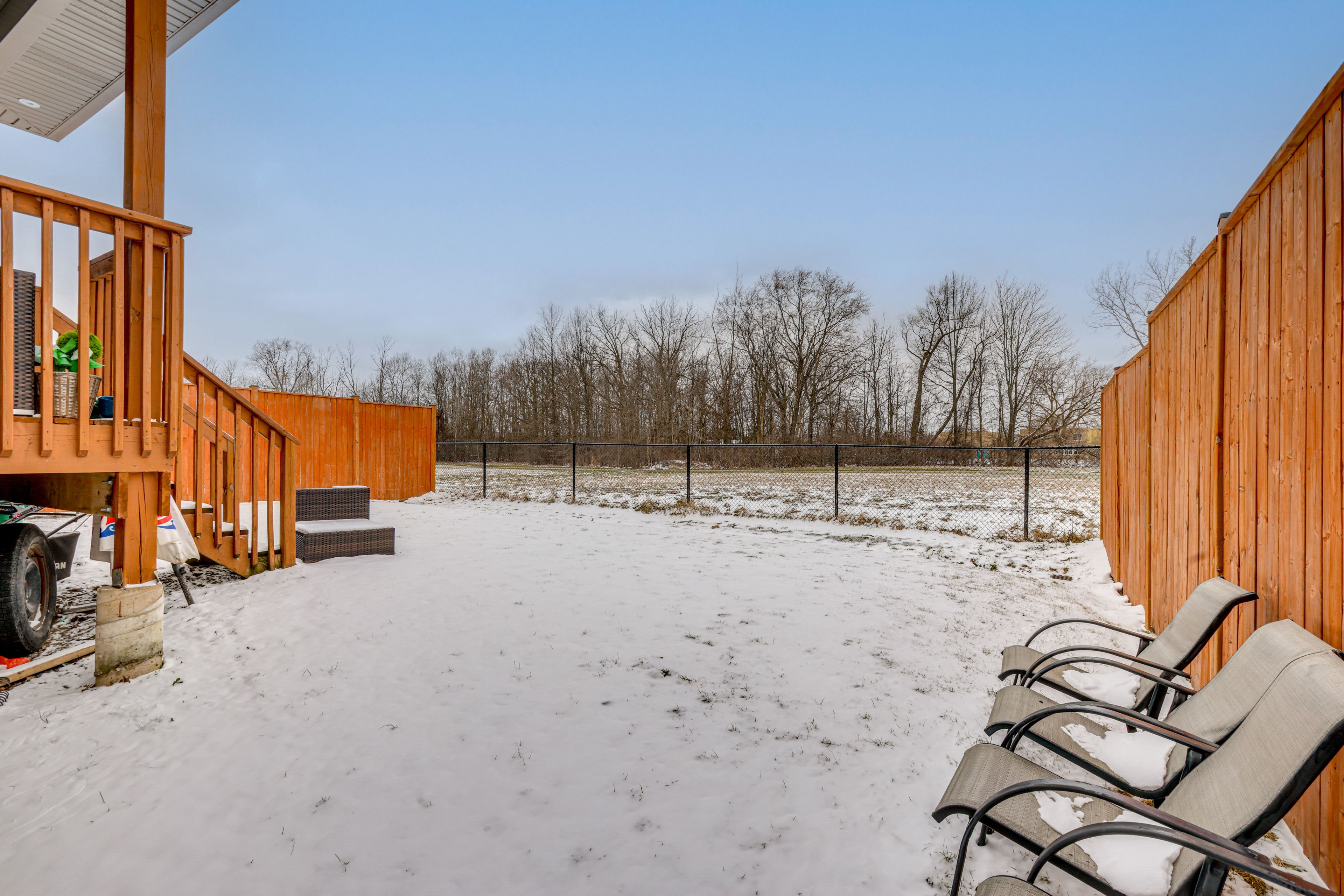 Shared Backyard