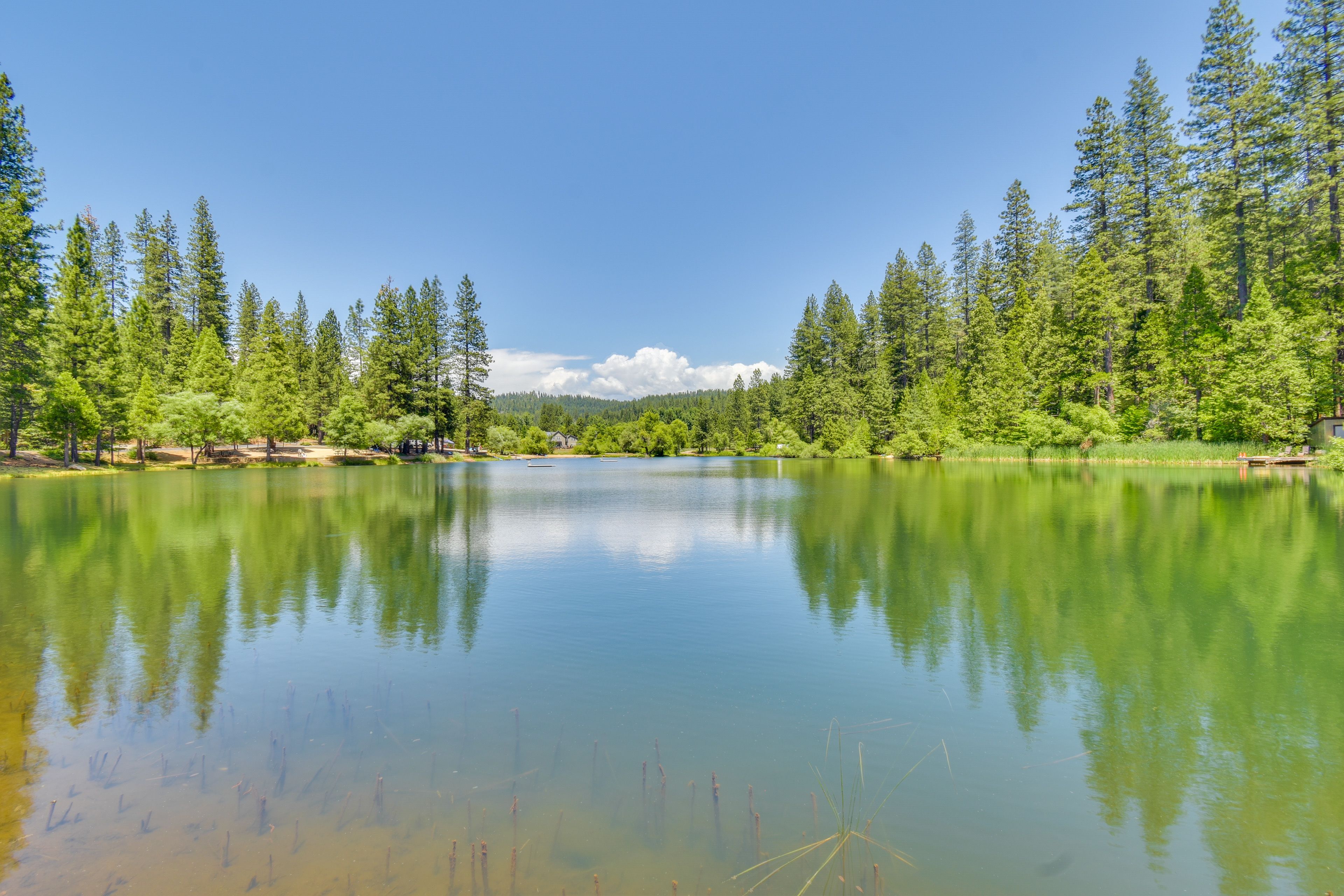 Blue Lake Springs | Community Amenities