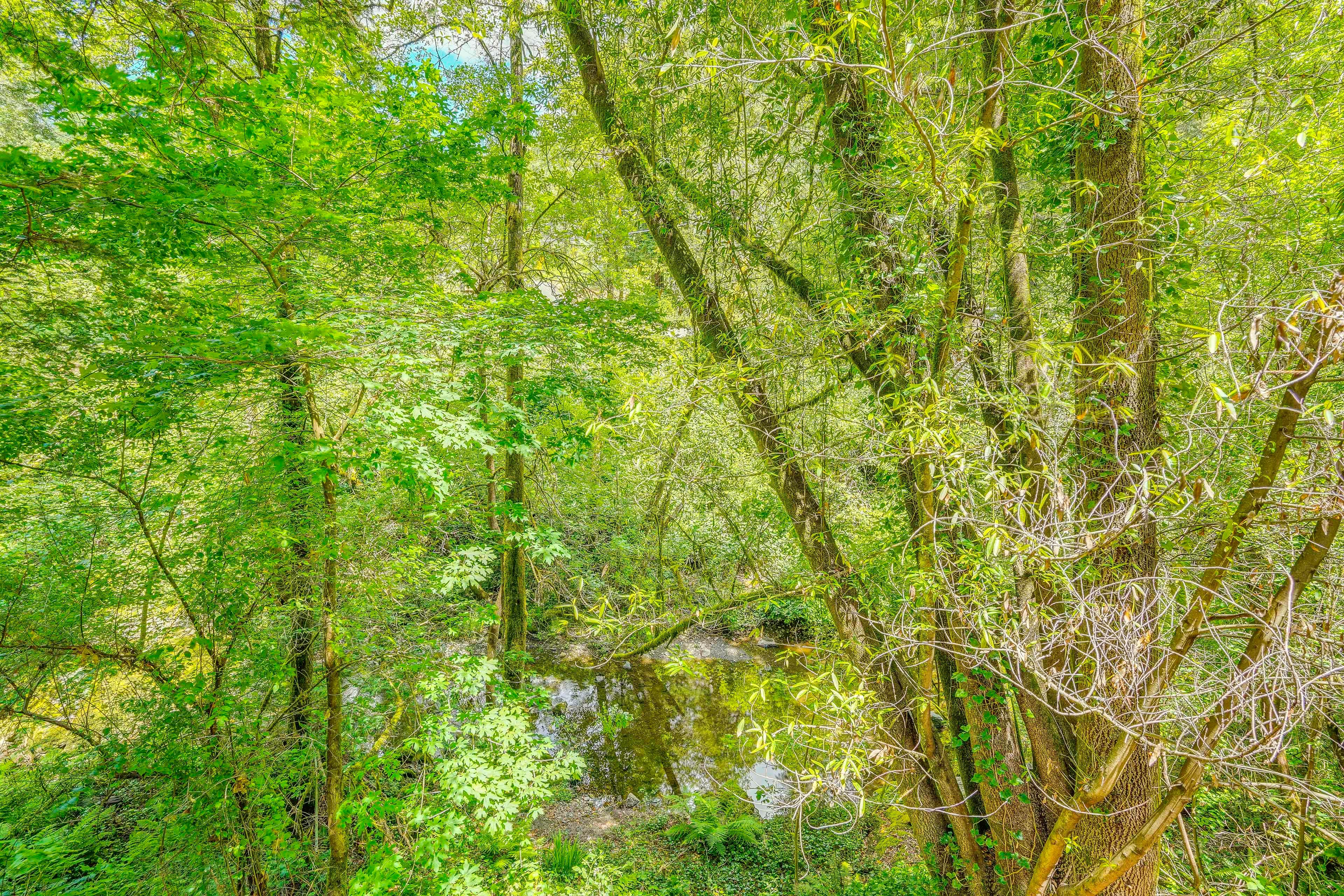 Image 23