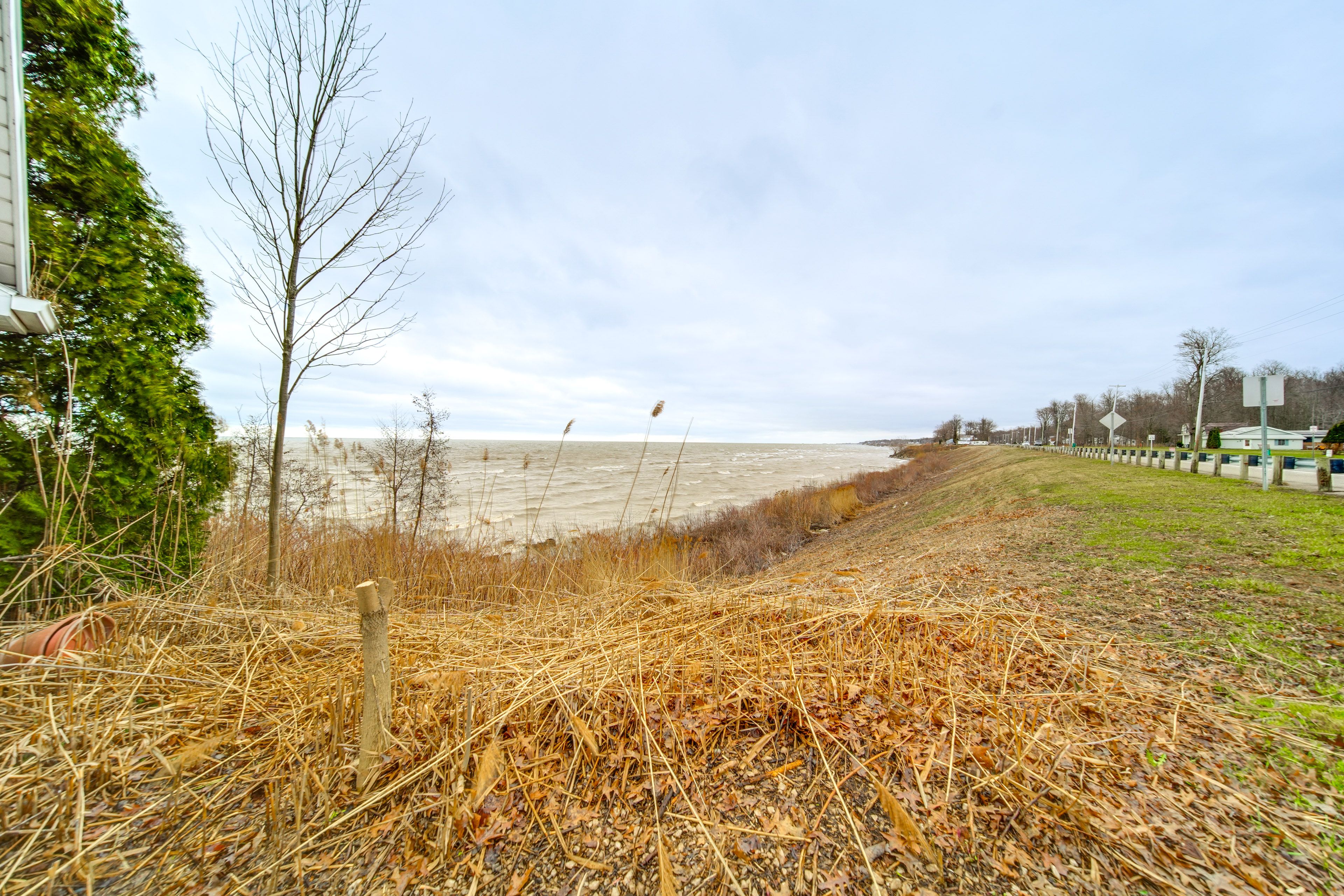 Lakefront Area