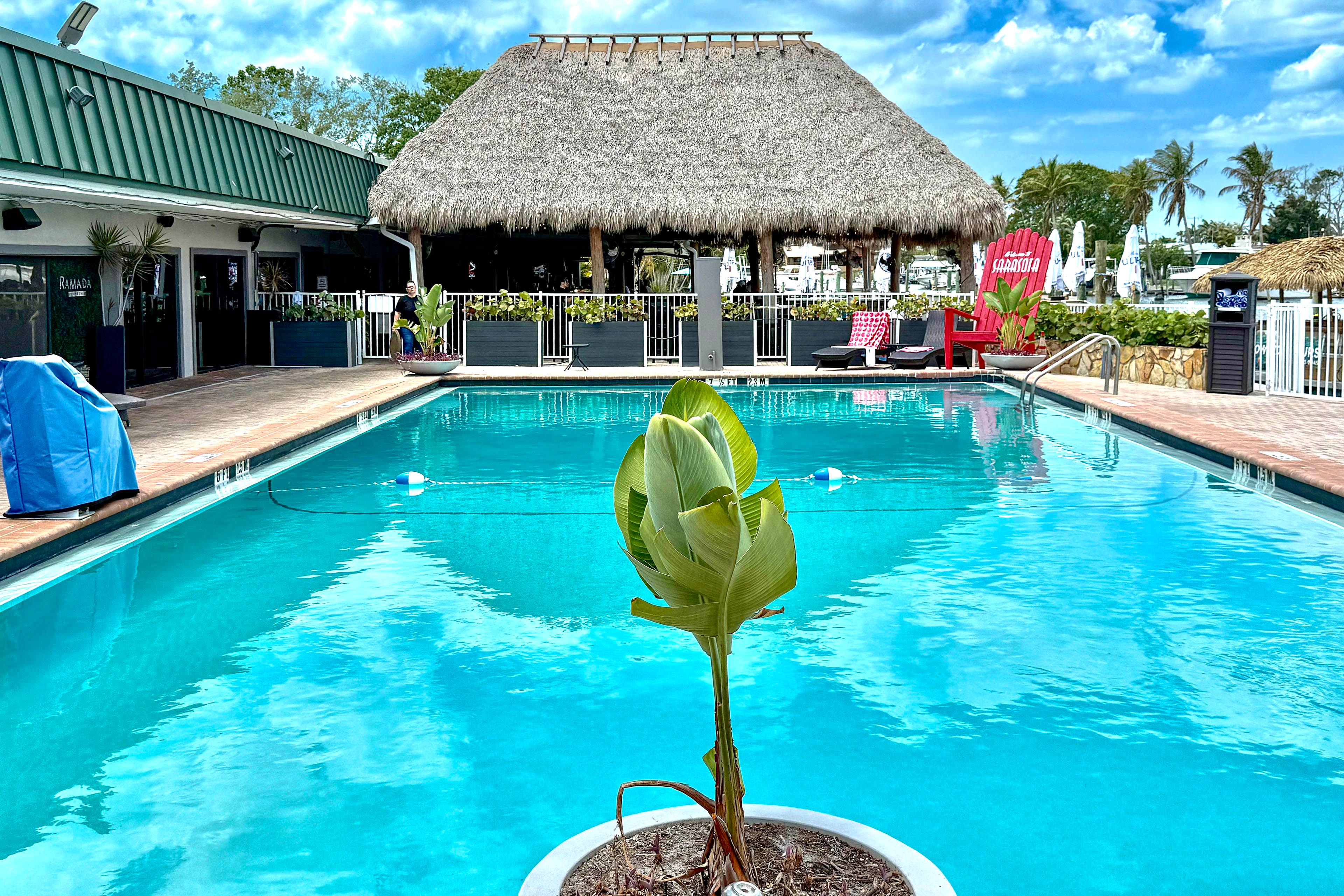 Community Pool | Tropical Bar