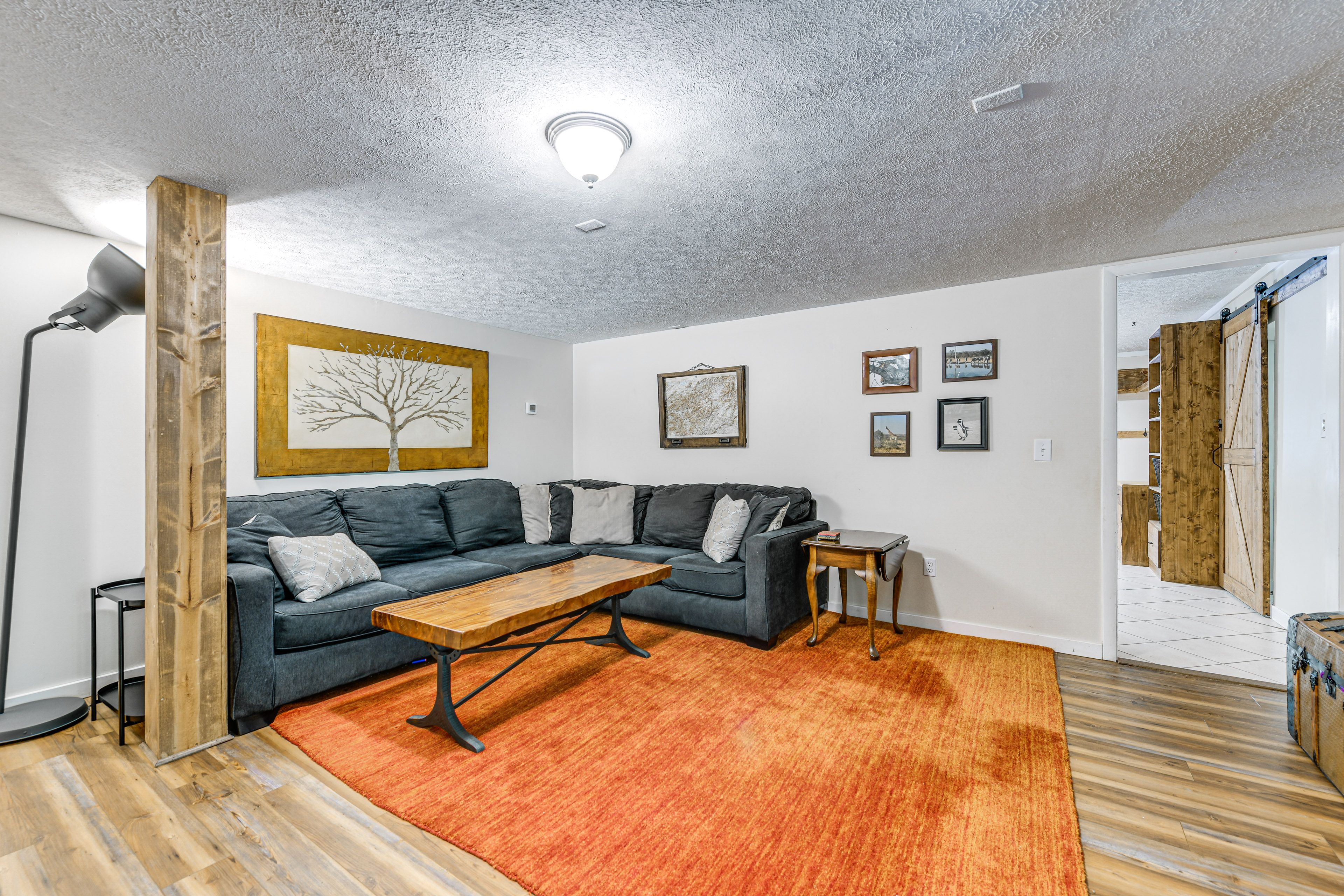 Basement Living Area | Queen Sleeper Sofa