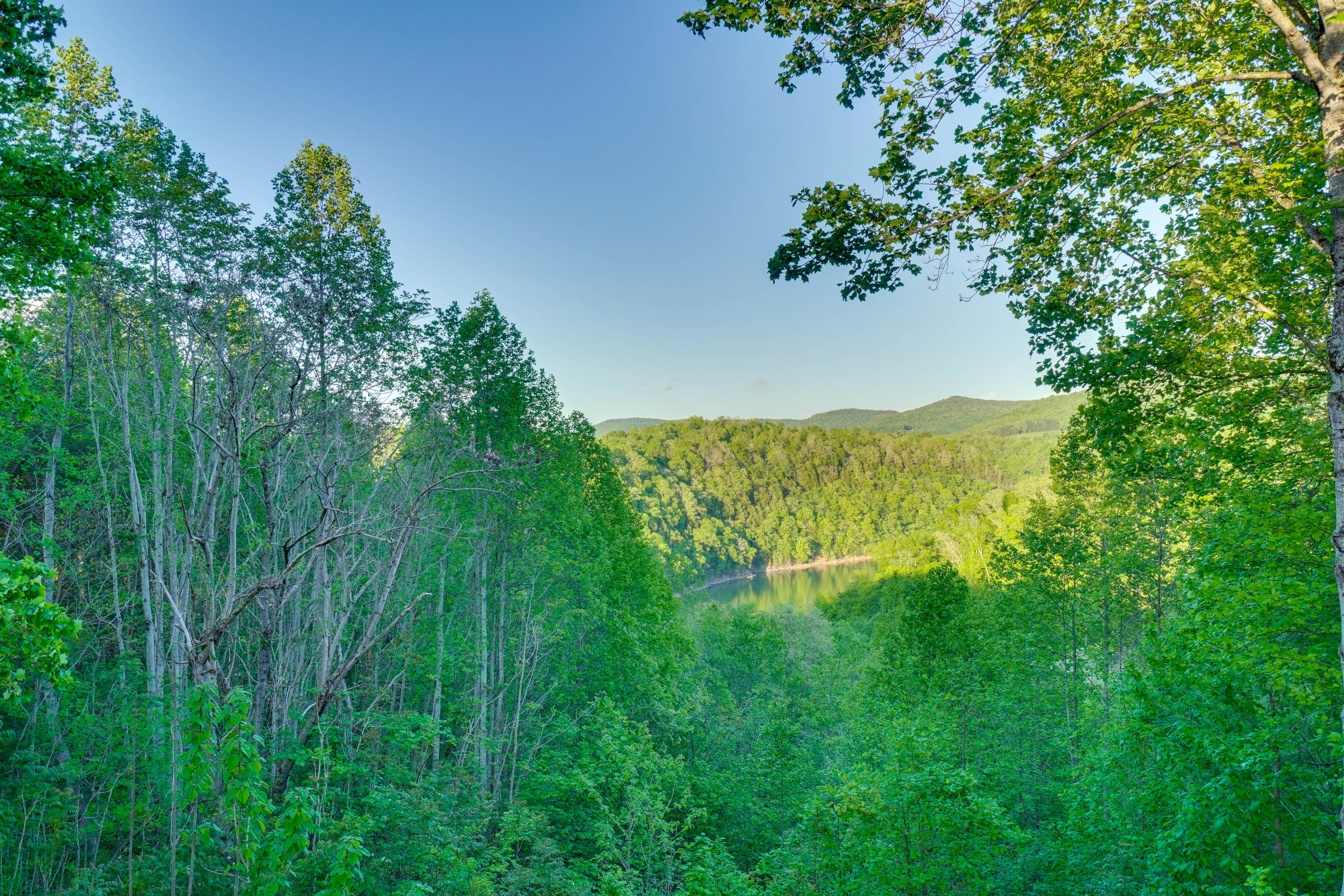 Forest & Lake Views