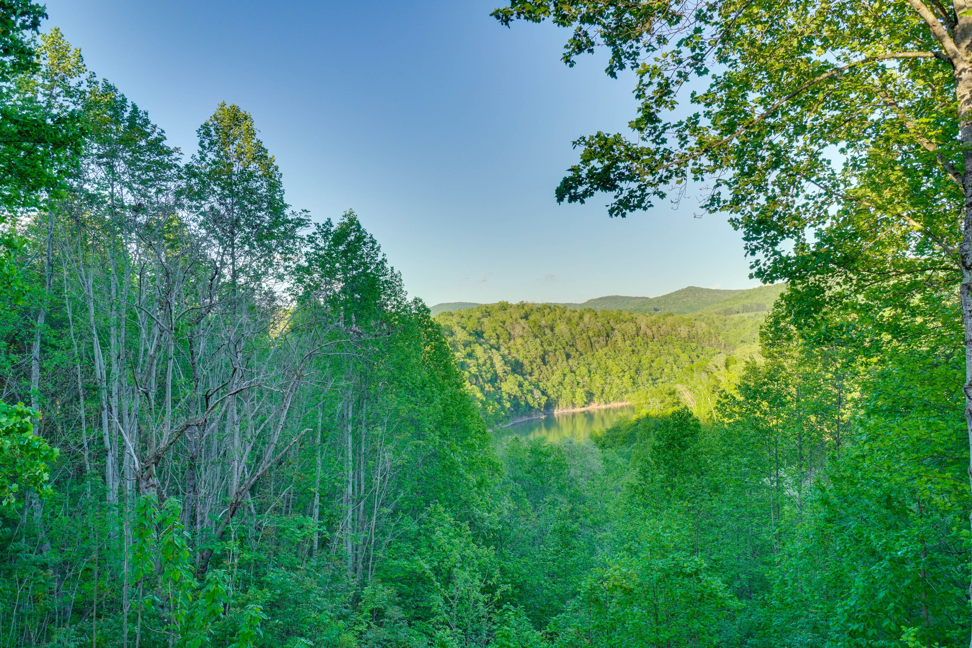 Forest & Lake Views
