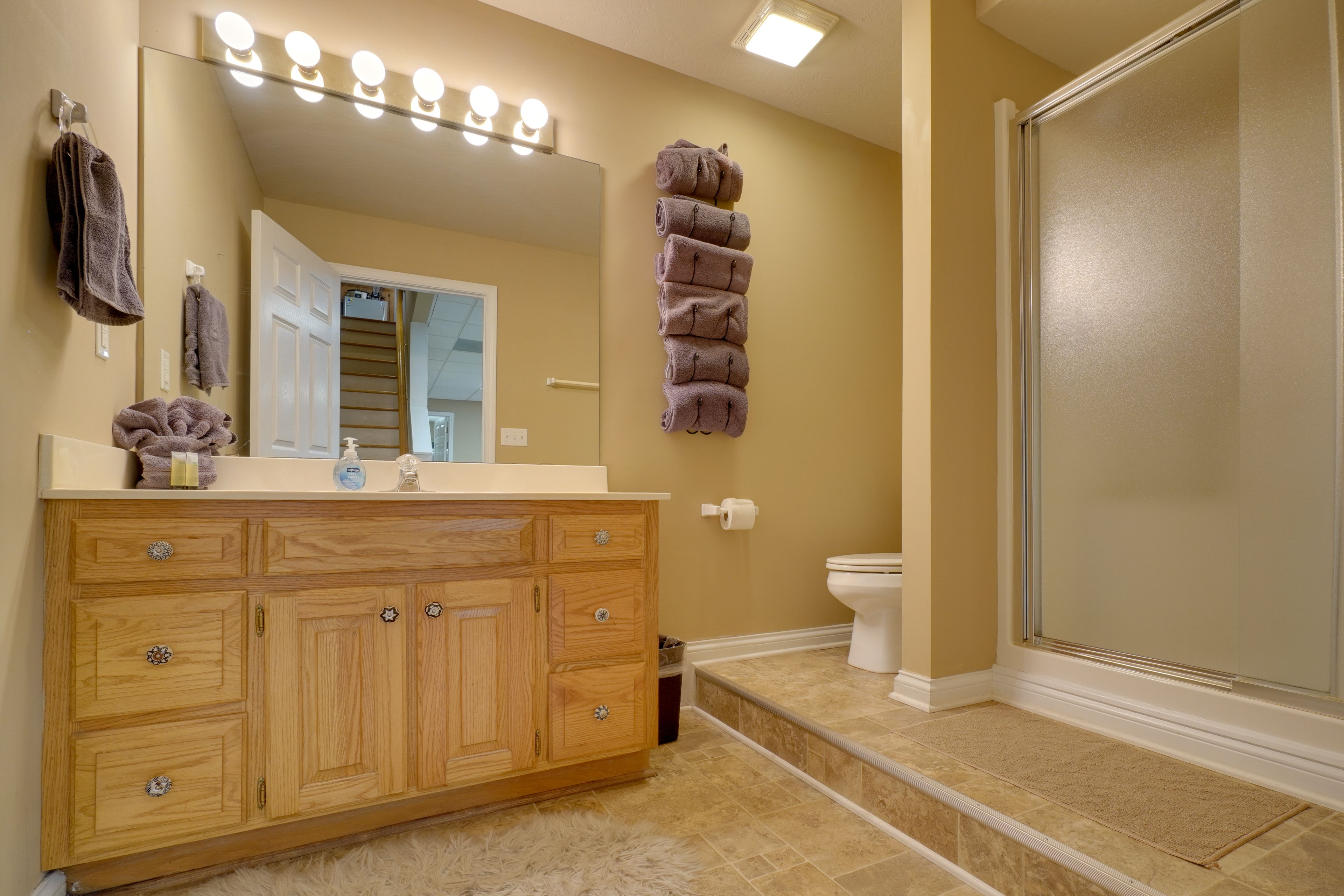 Bathroom | Lower Floor
