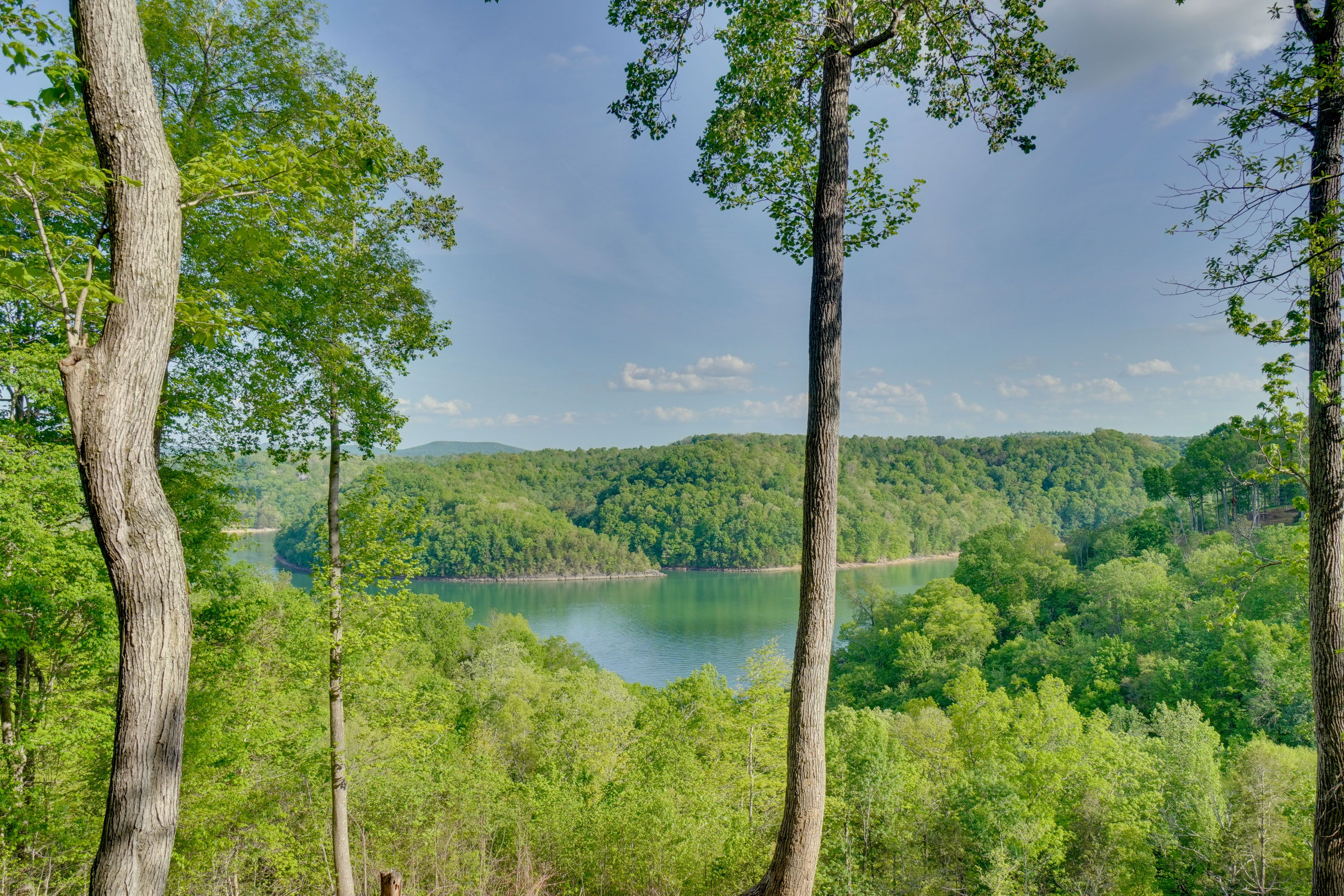 Views of Dale Hollow Lake