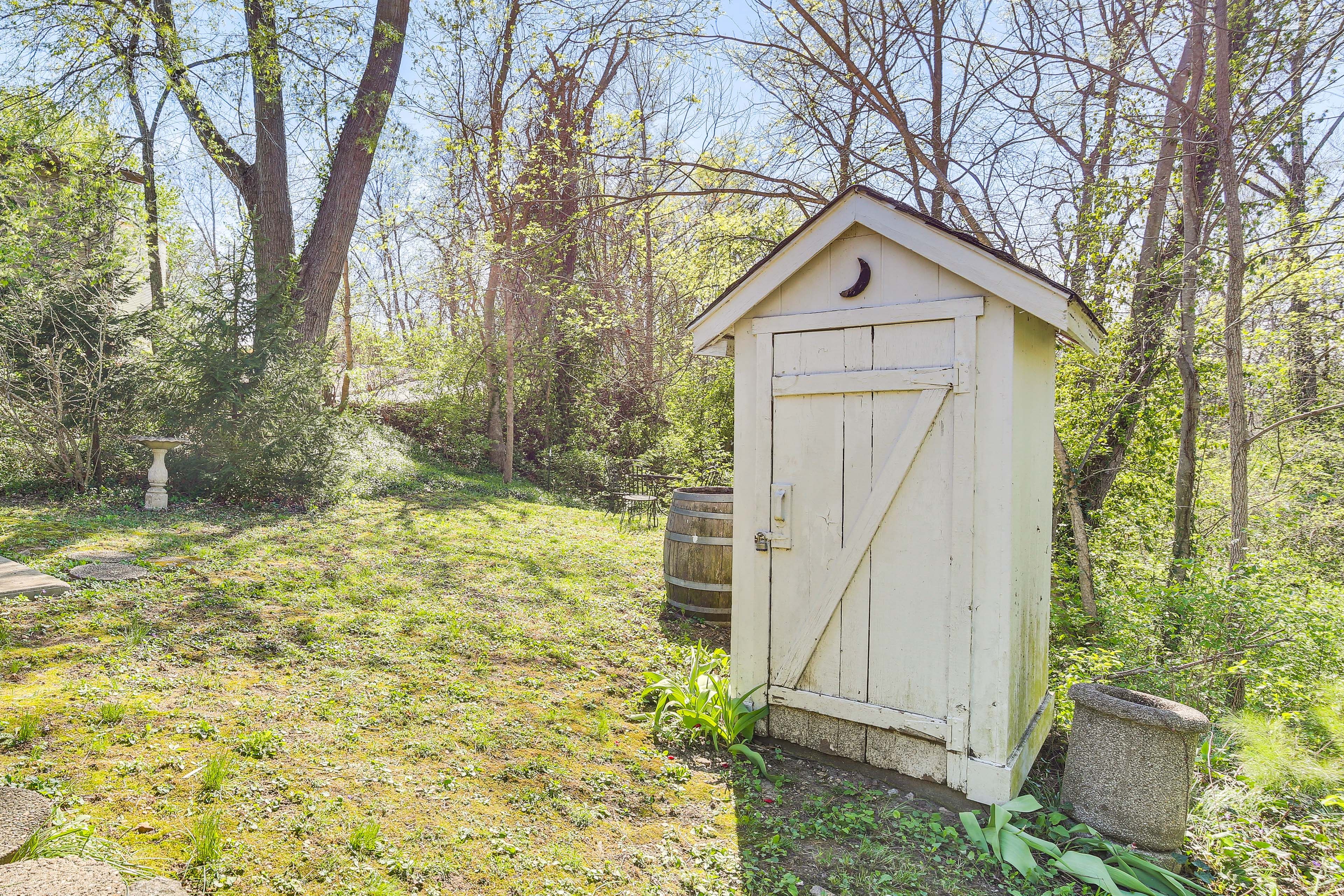 Image 19