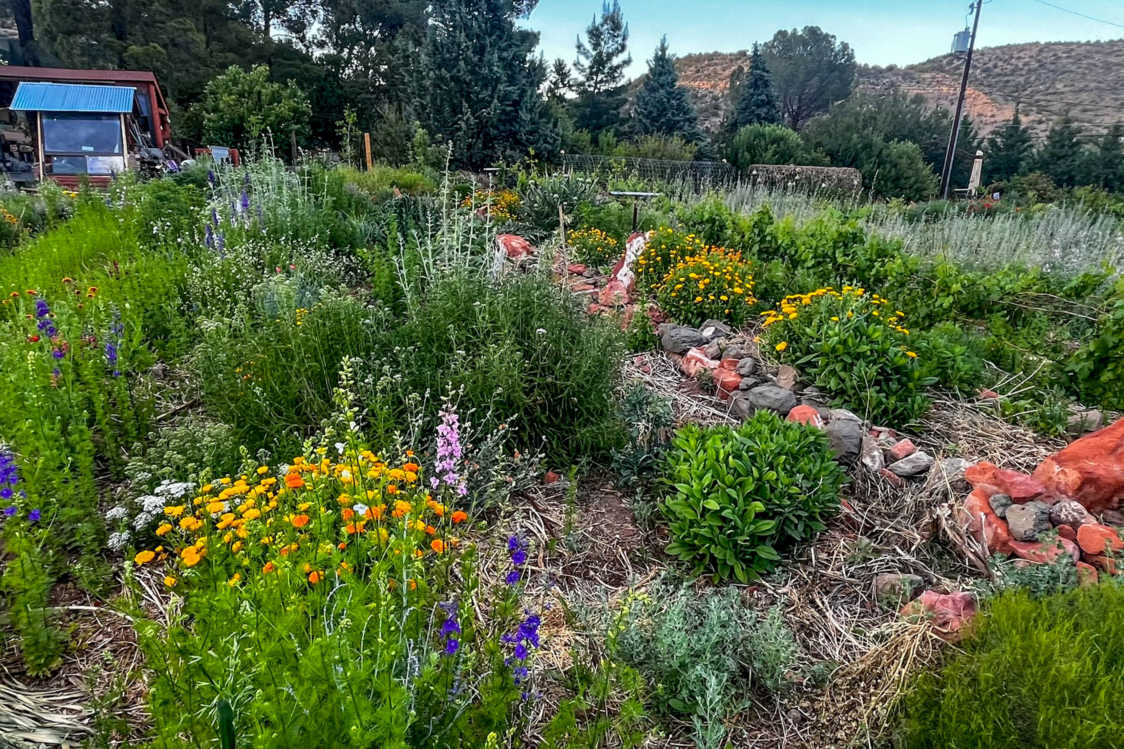 Shared Flower Garden