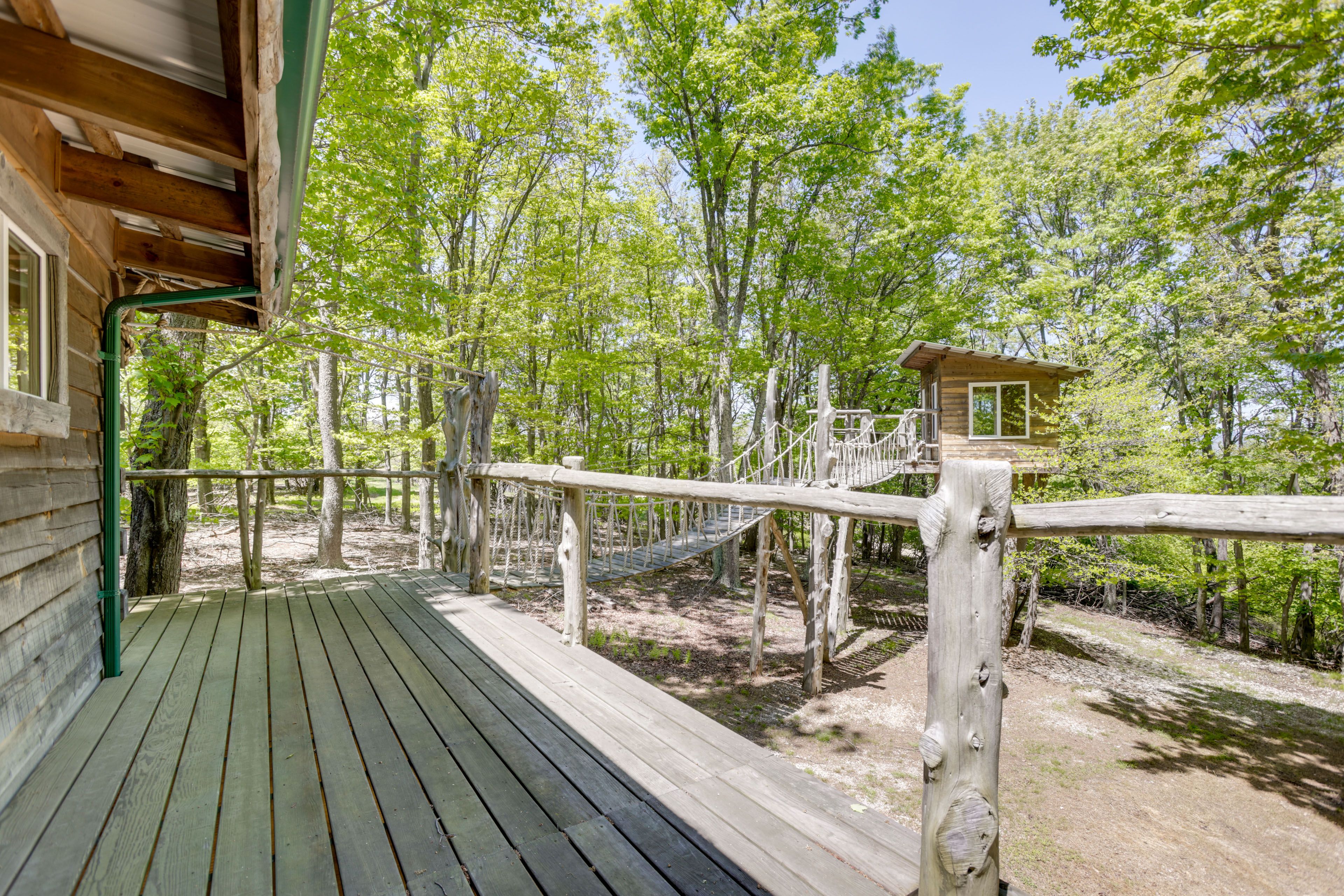 Exterior | Rope Bridge to Treehouse