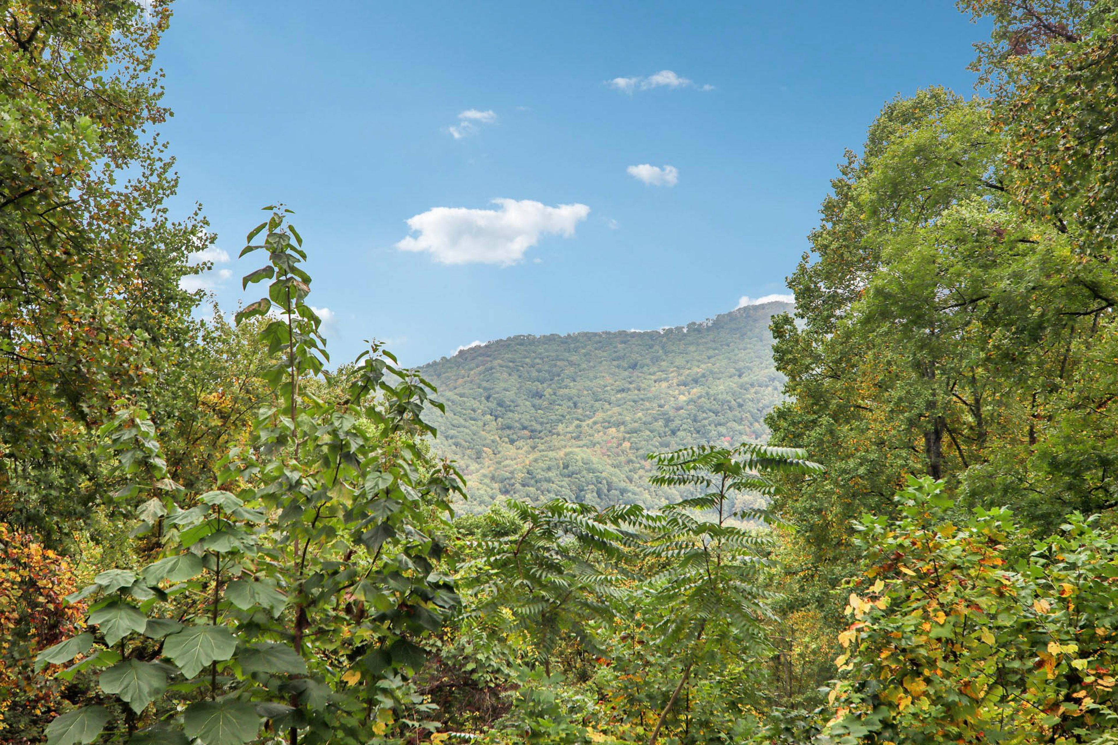 Weaverville Vacation Rental | 3BR | 2BA | 1,875 Sq Ft