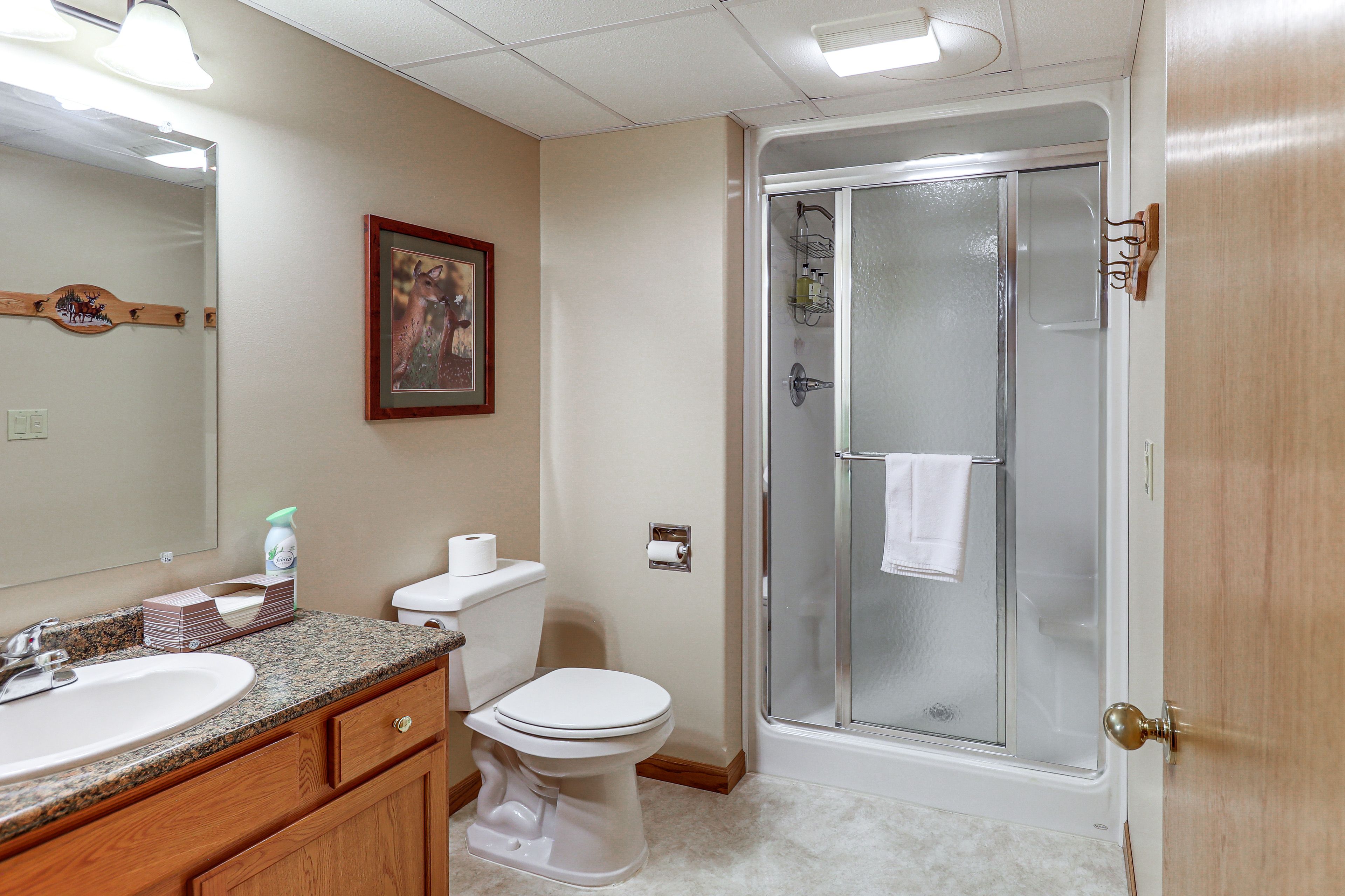 Full Bathroom | Basement