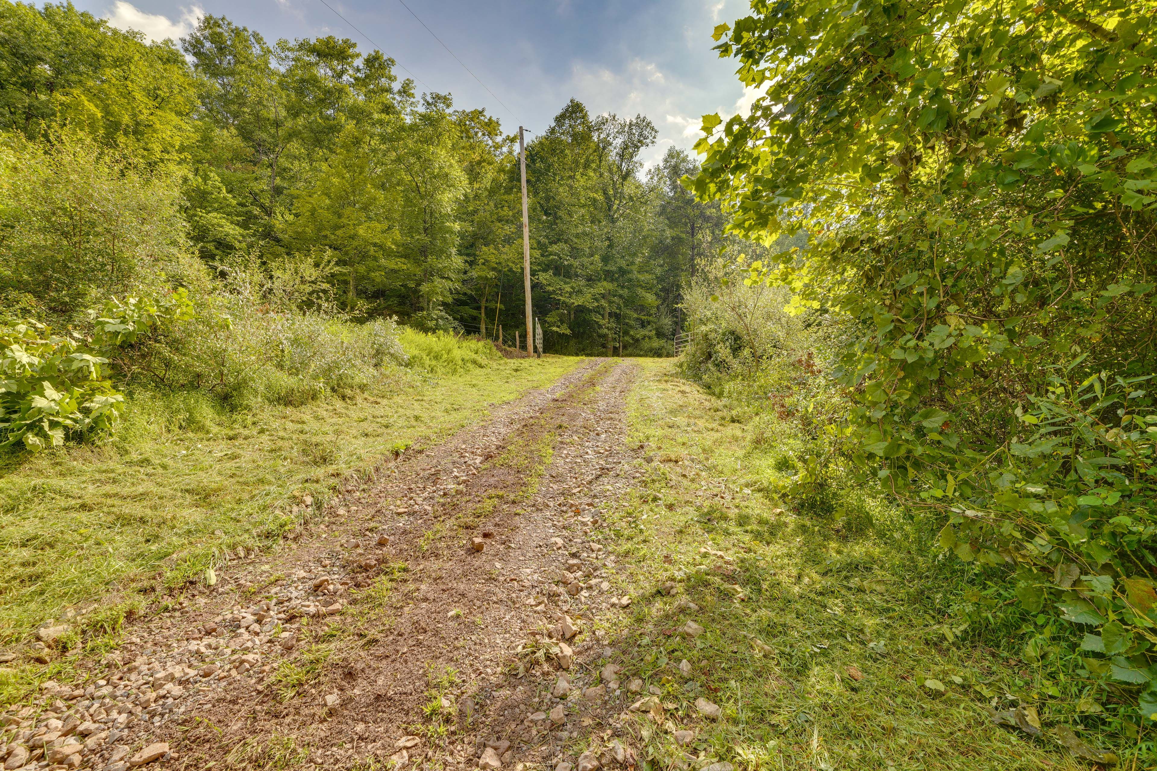 Image 49