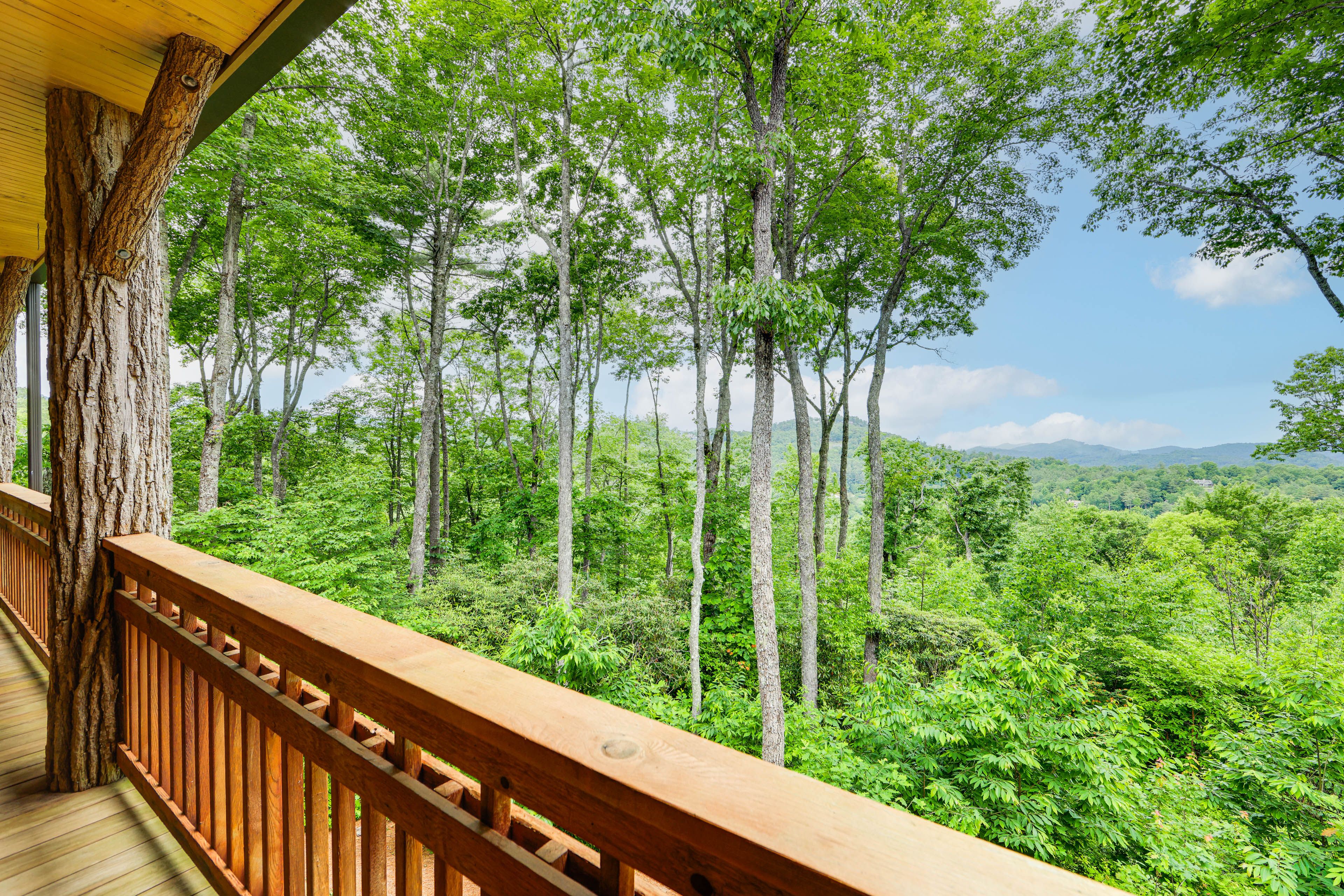 Mountain Views