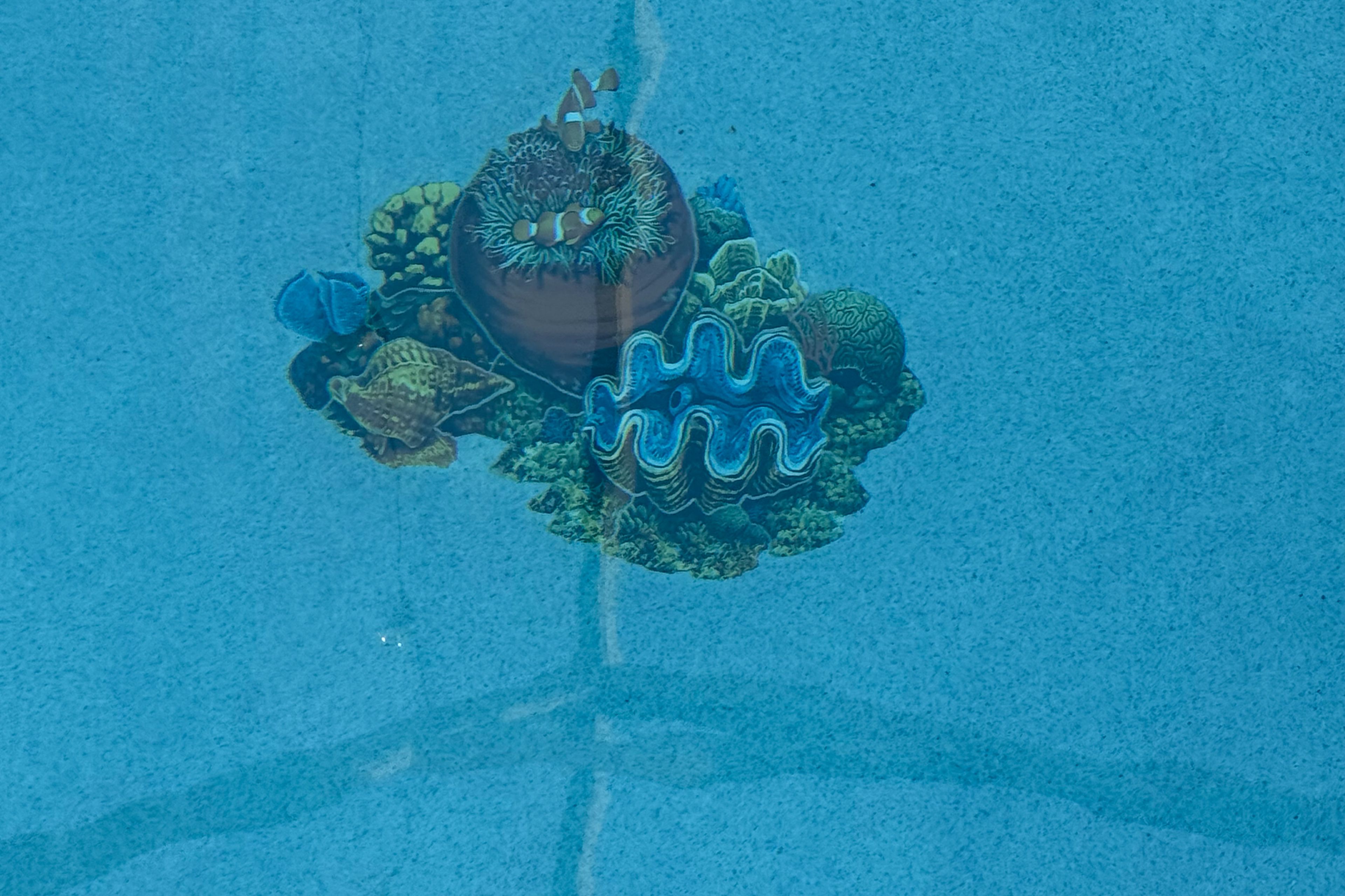 Image 32