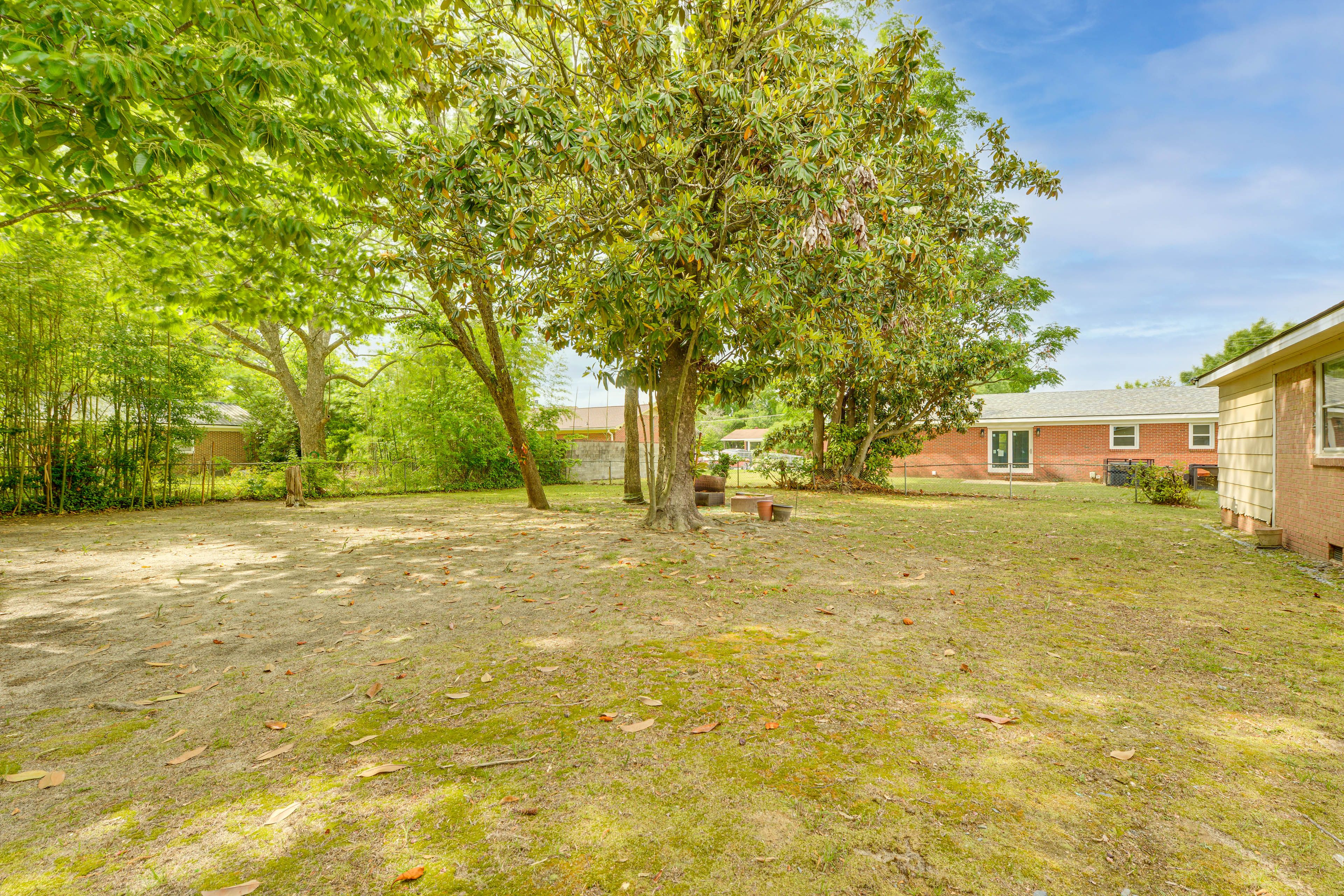 Backyard
