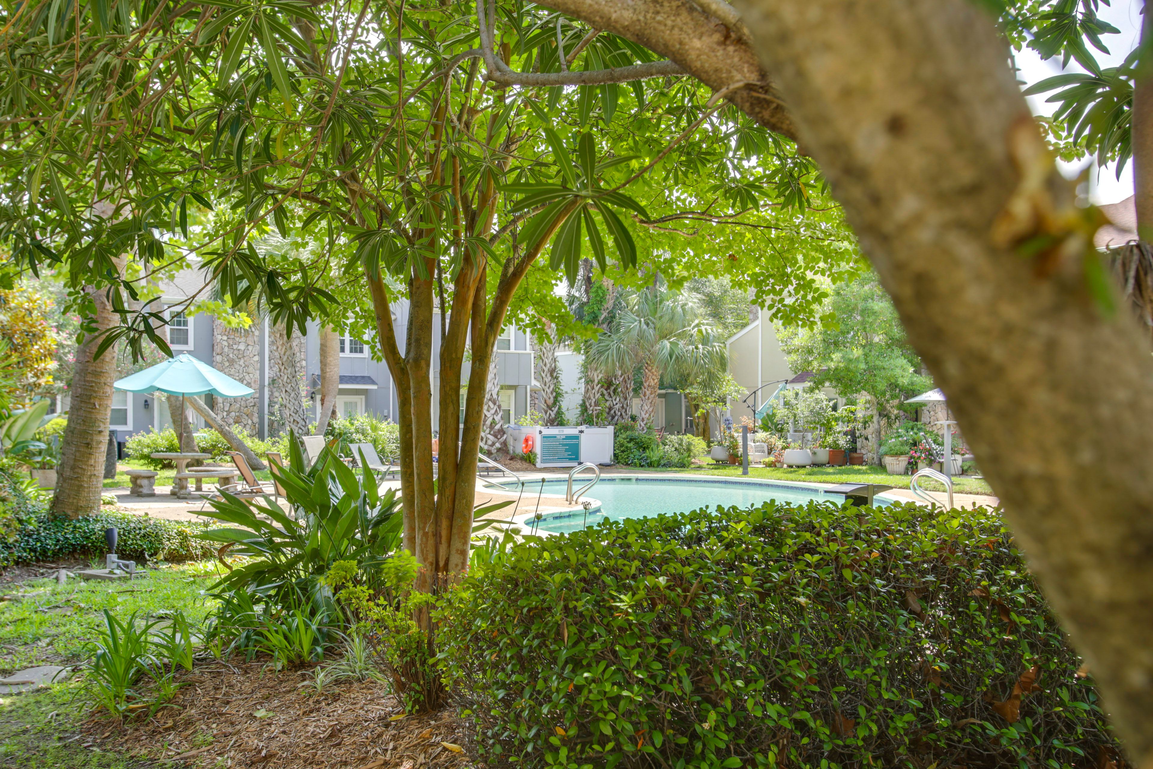 Million Oaks Community Amenities | Pool