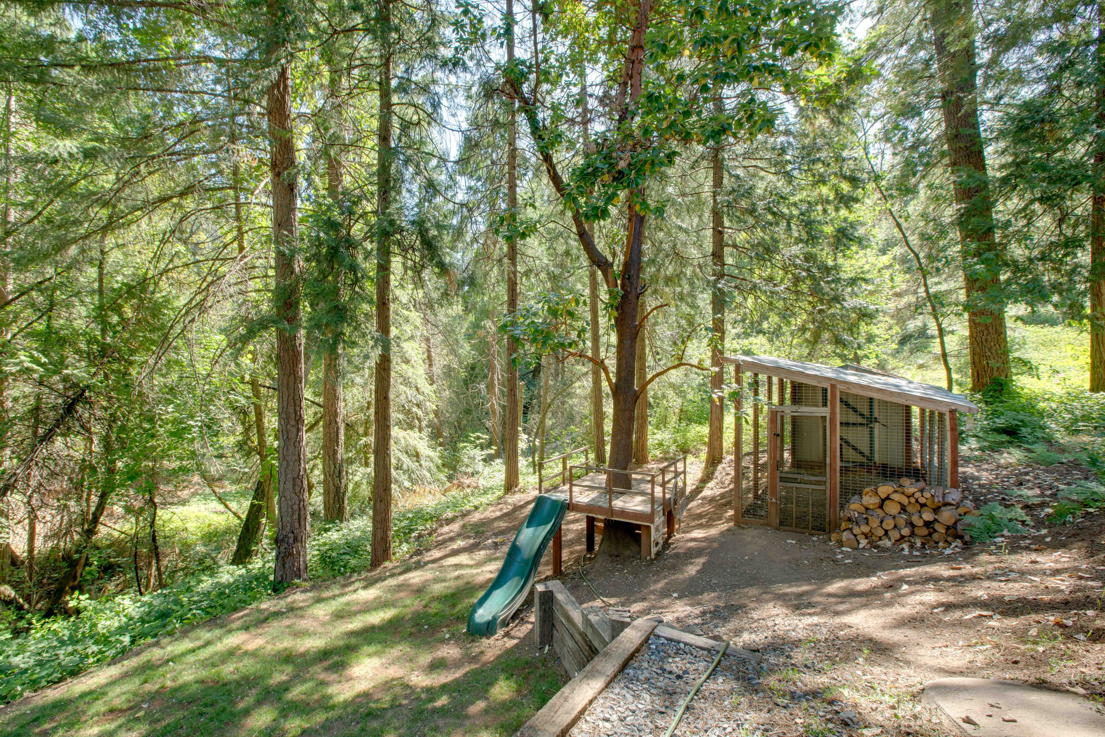 Play Area