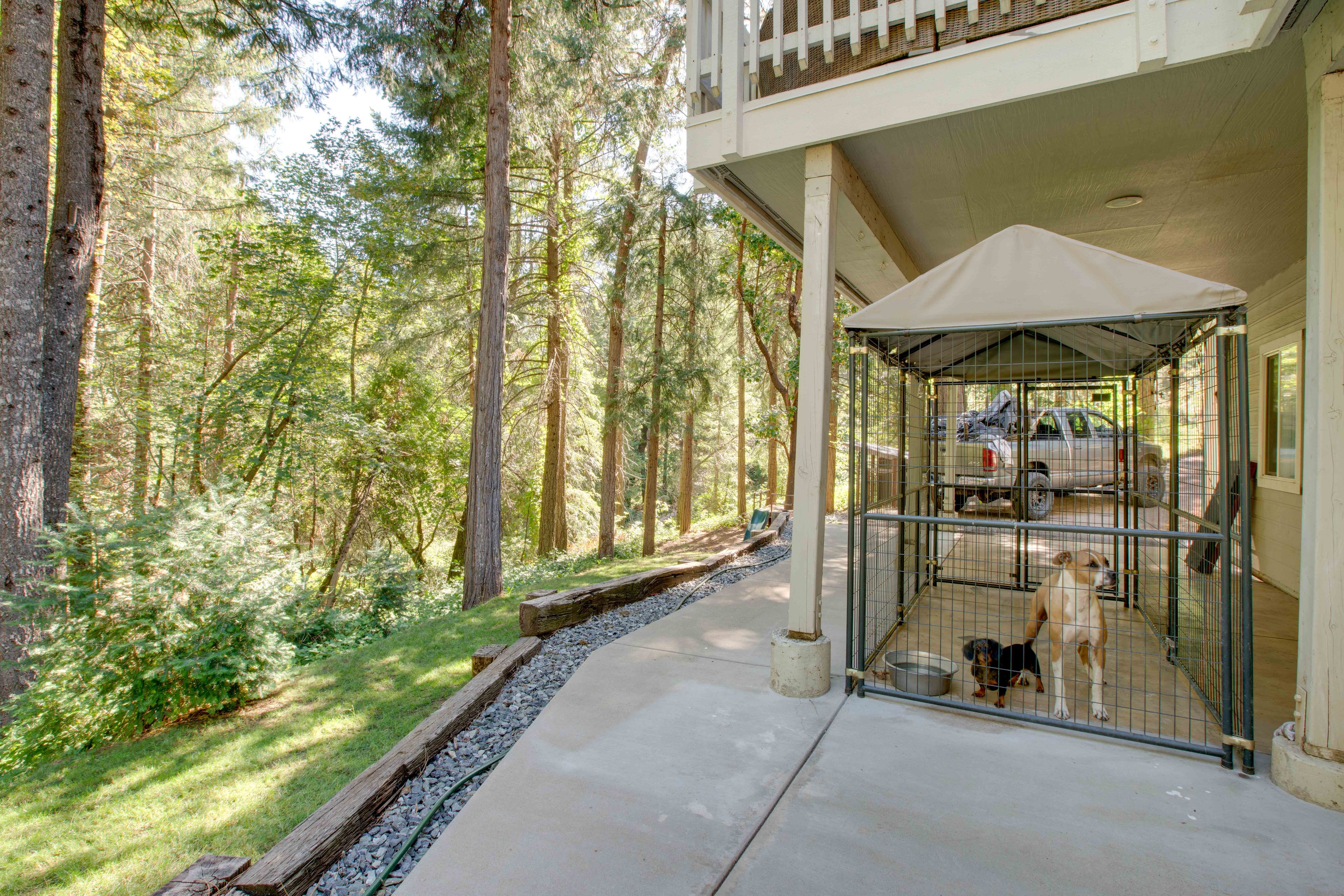 Dog Pen