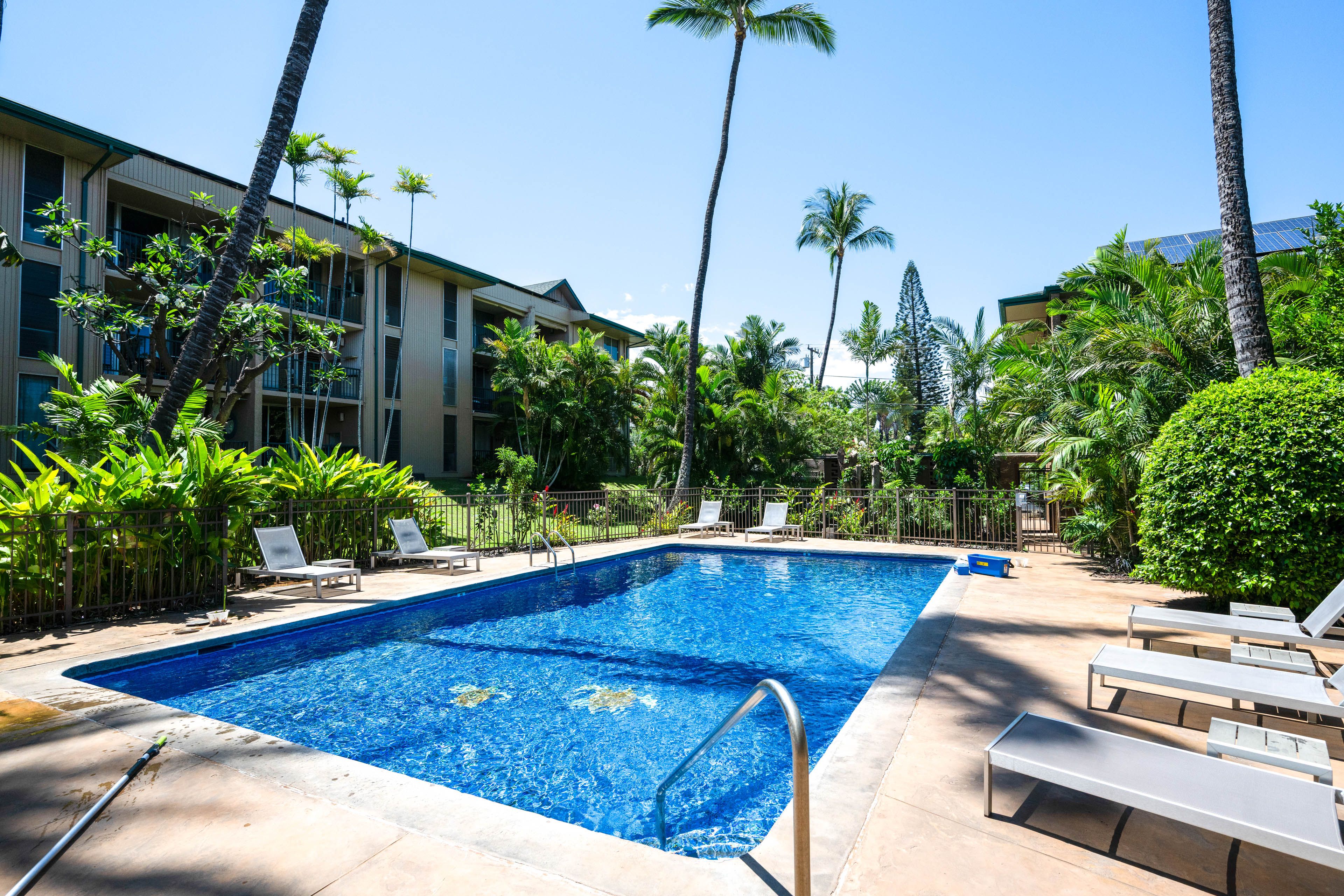 Kalama Terrace | Community Amenities