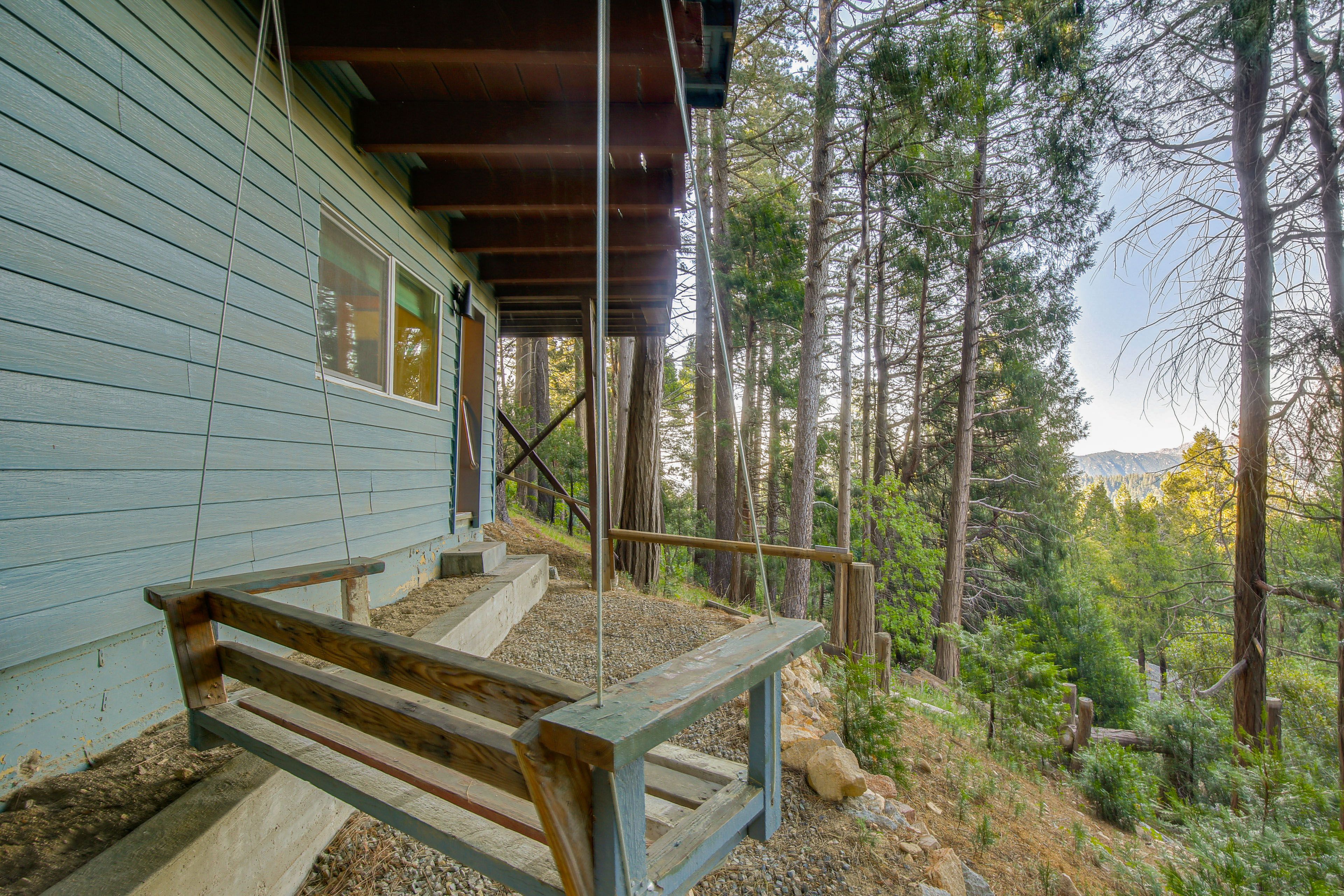 Back Patio