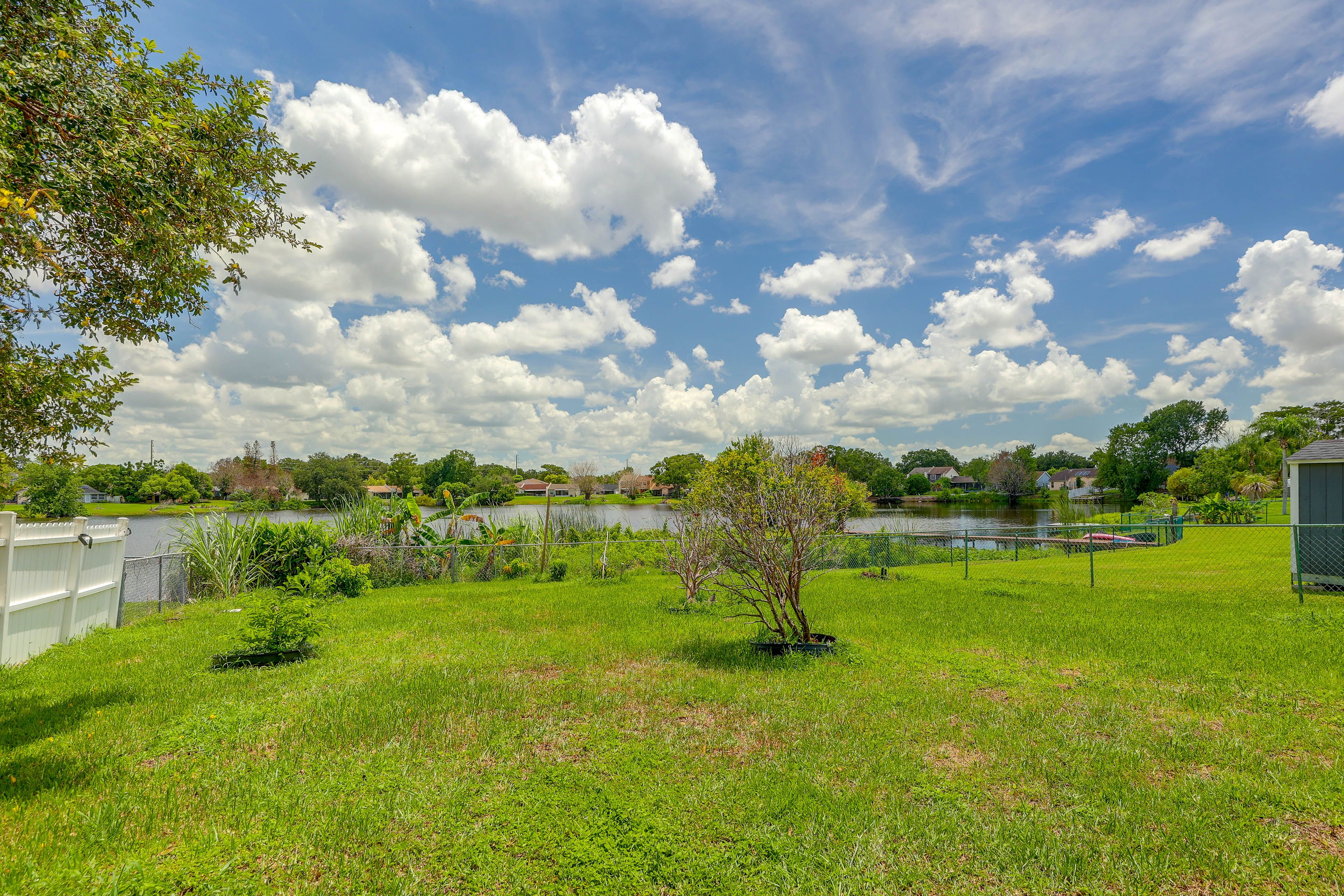 Fenced Backyard