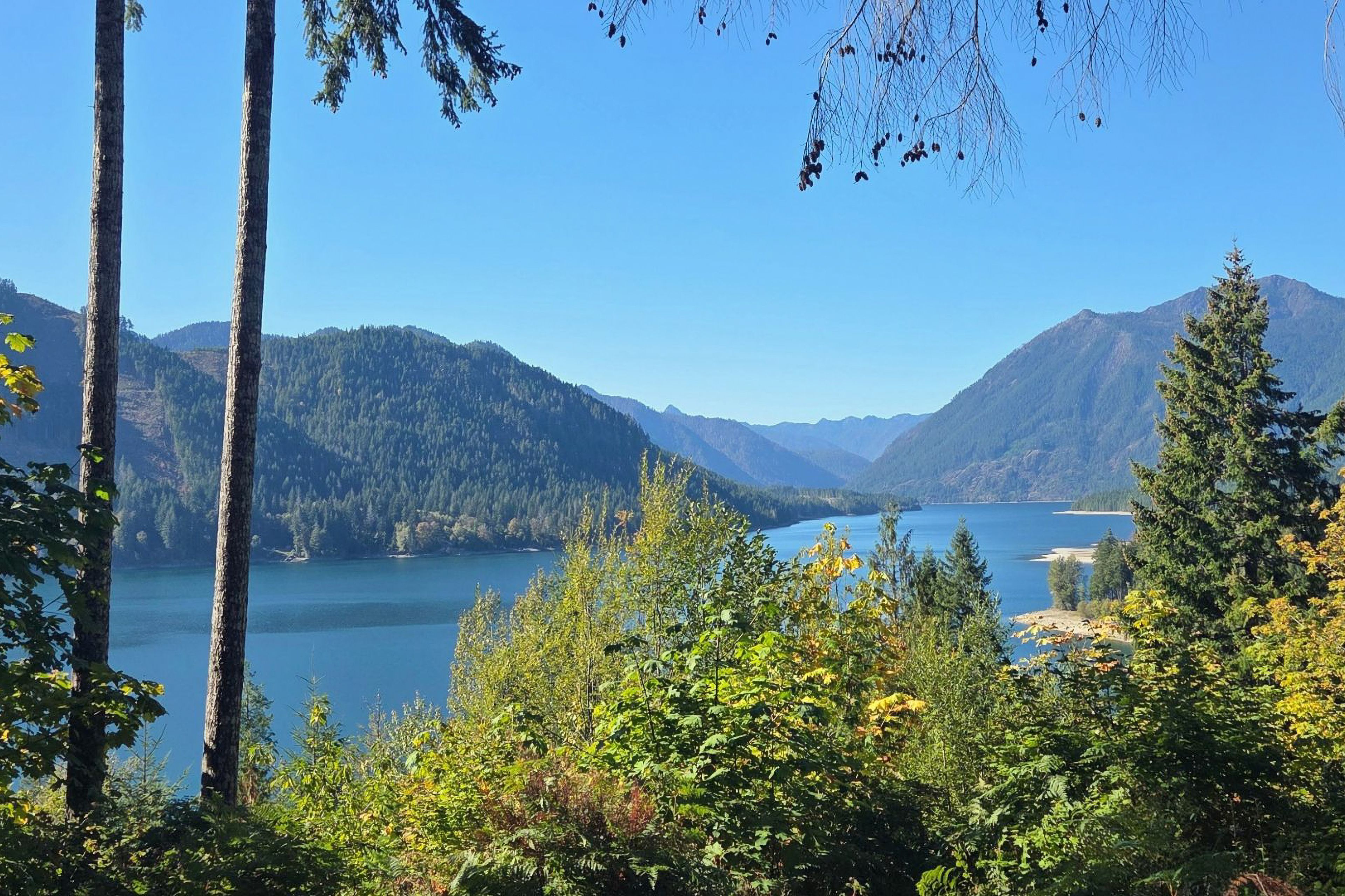 Lake Cushman Lookout (3 Miles Away)