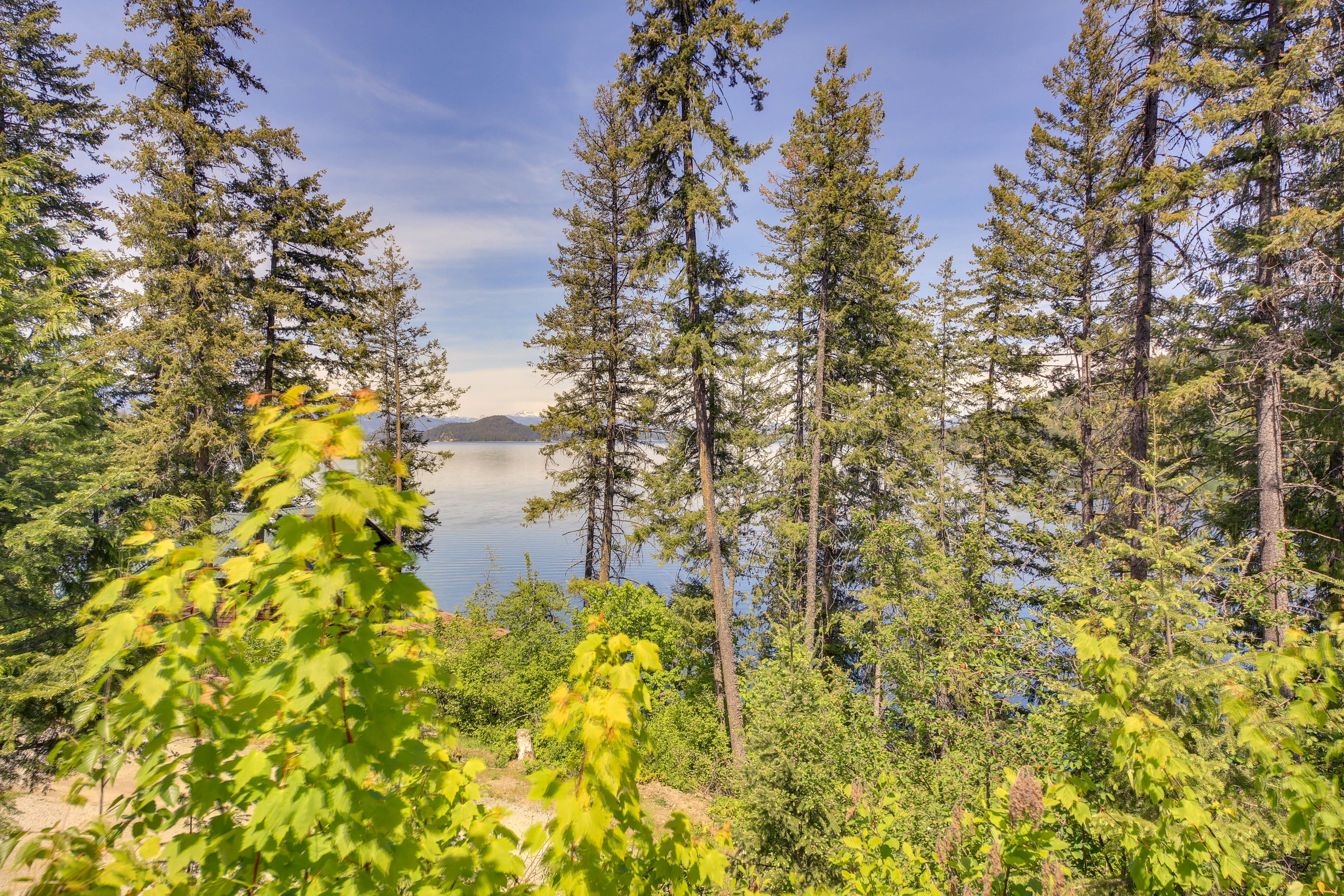 Lake Views