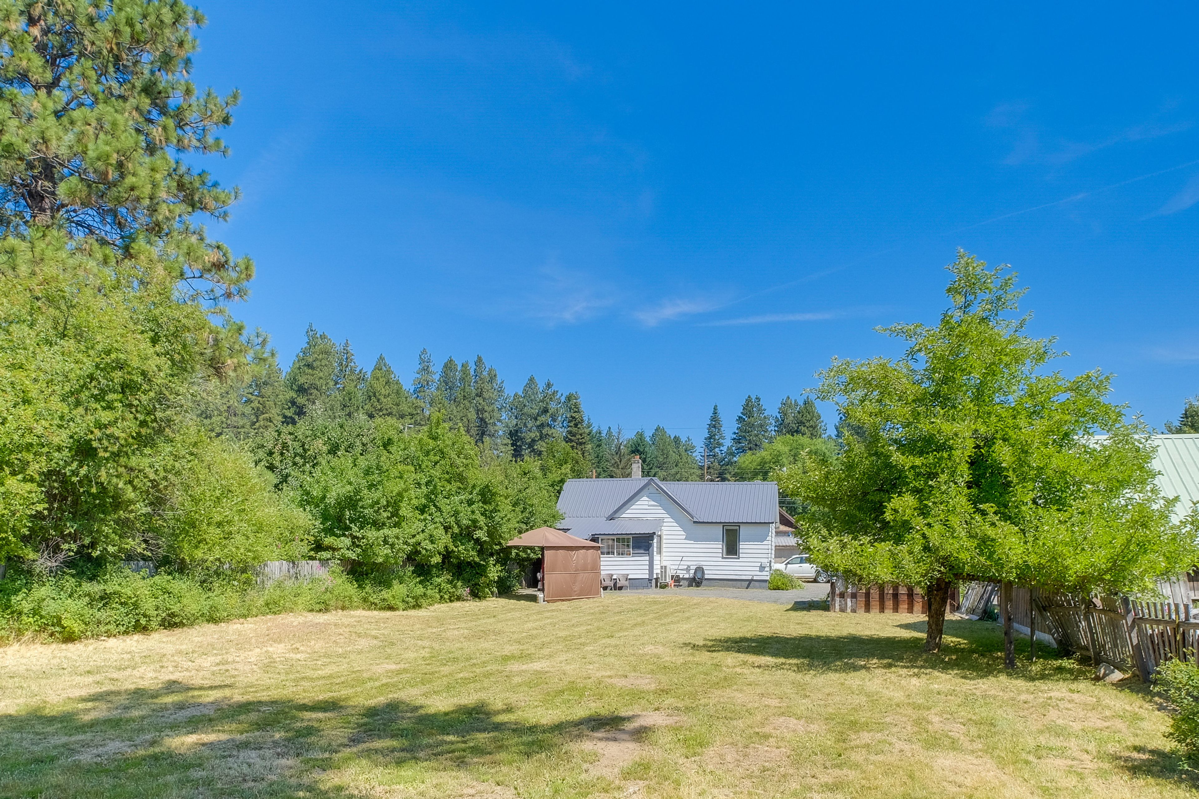 Large Backyard