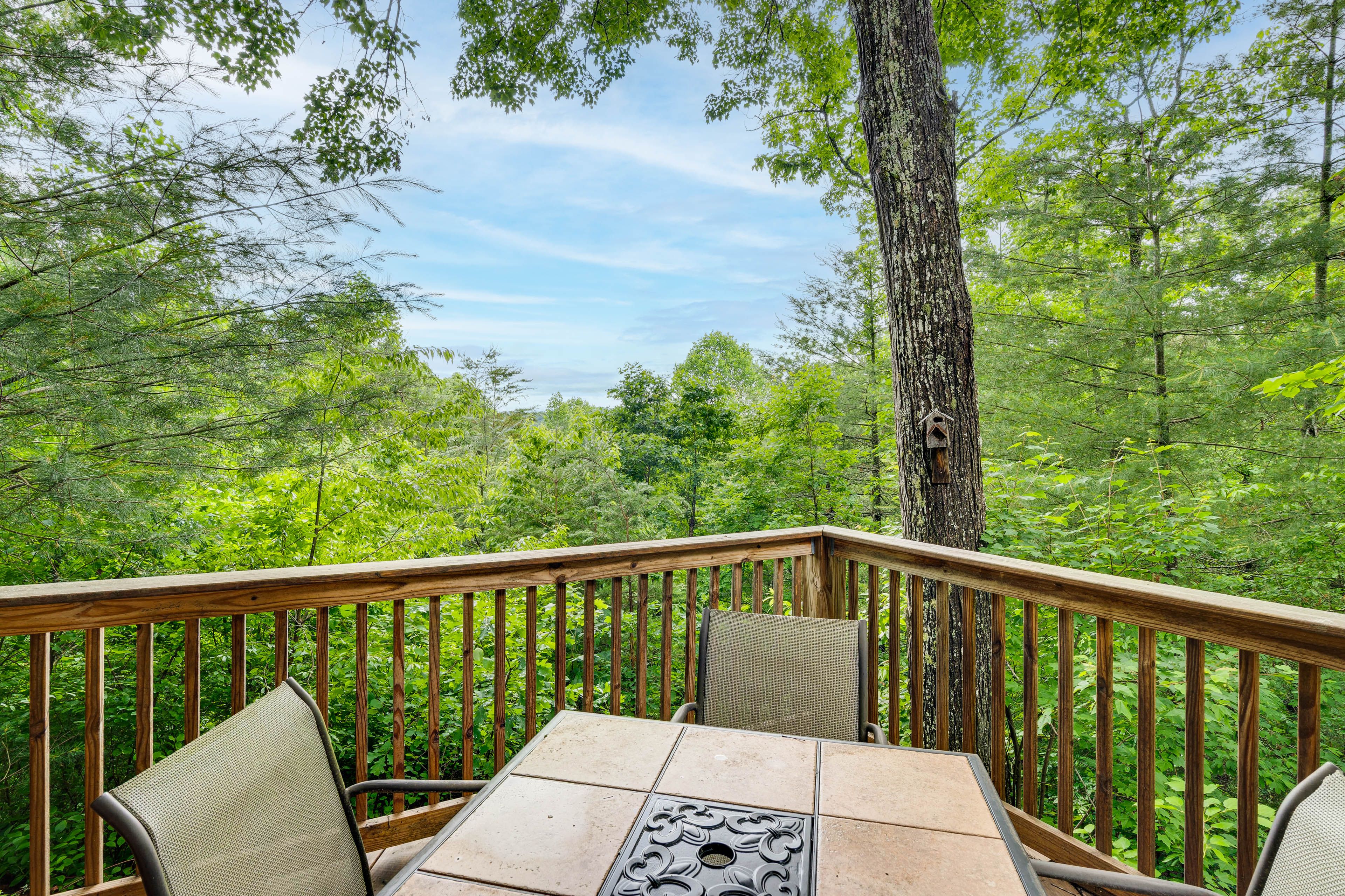 Murphy Vacation Rental | 3BR | 3BA | 2,000 Sq Ft
