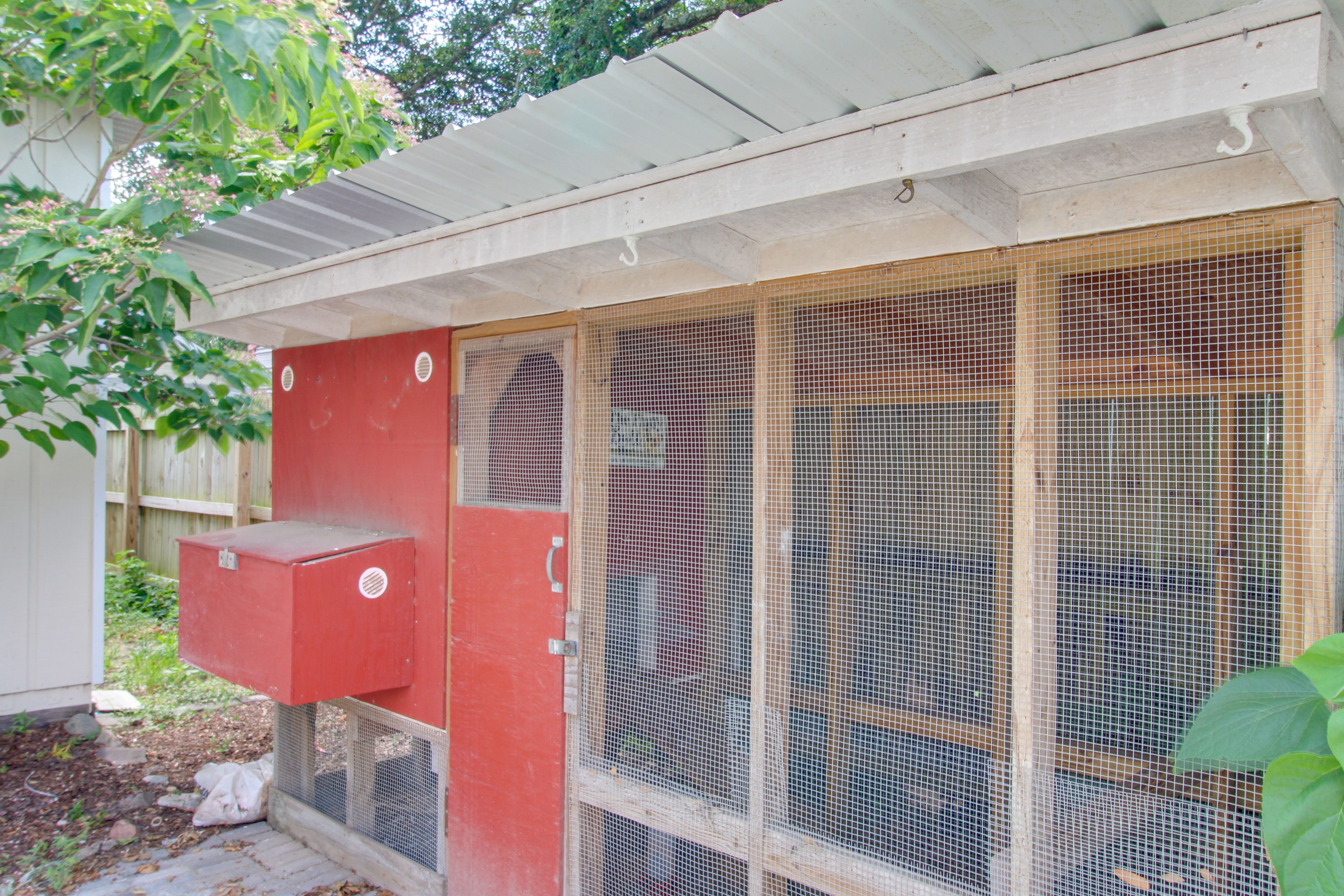 Chickens On-Site