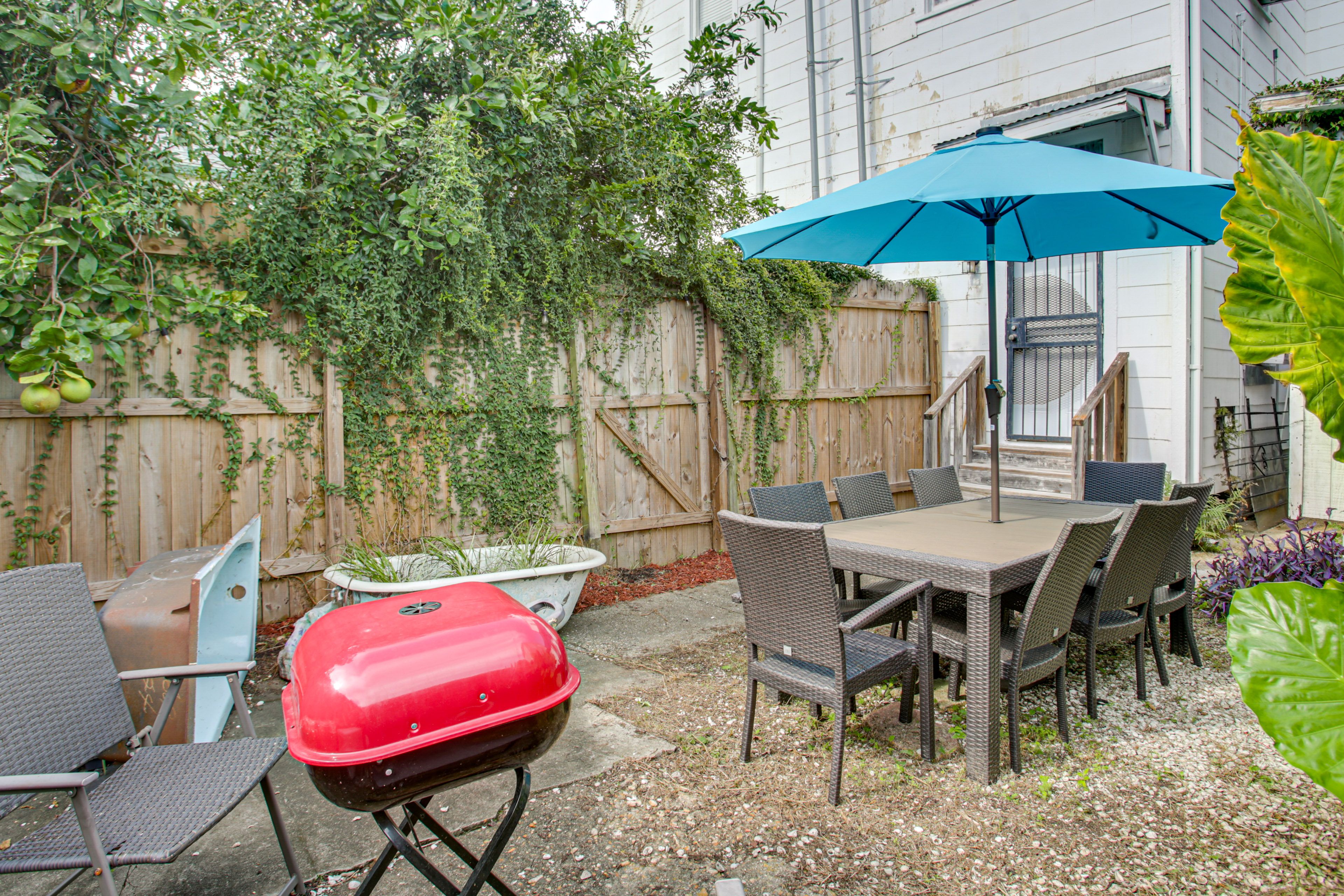 Backyard