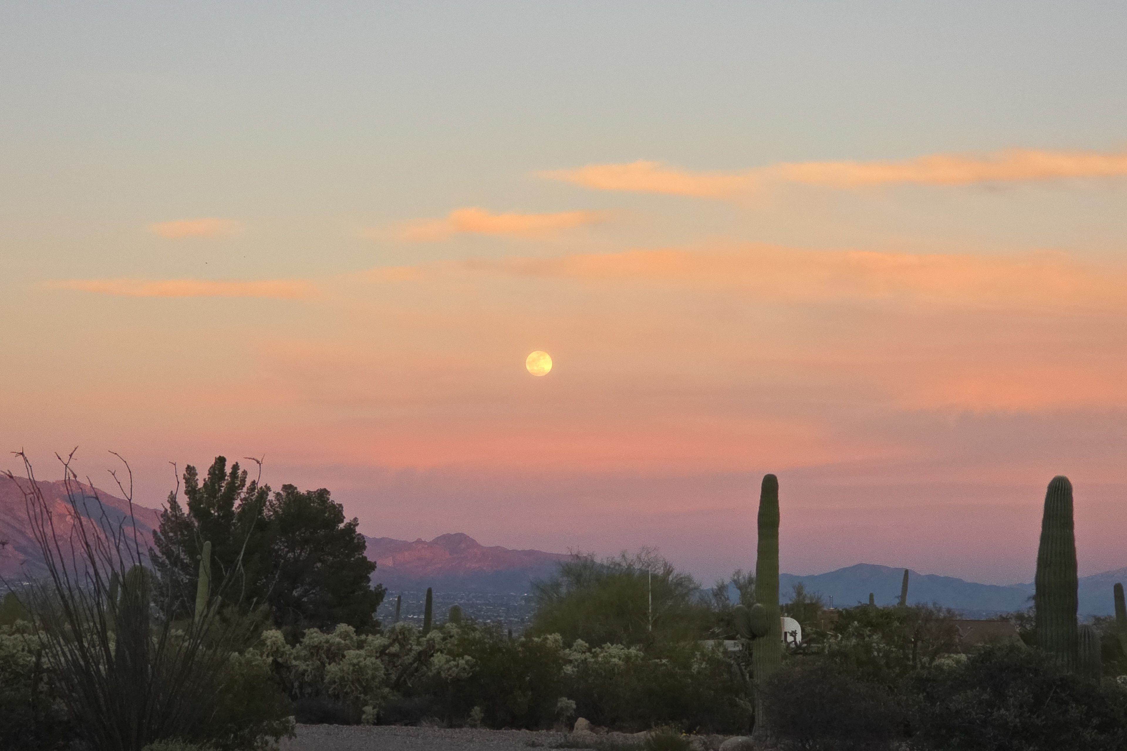 Desert Views