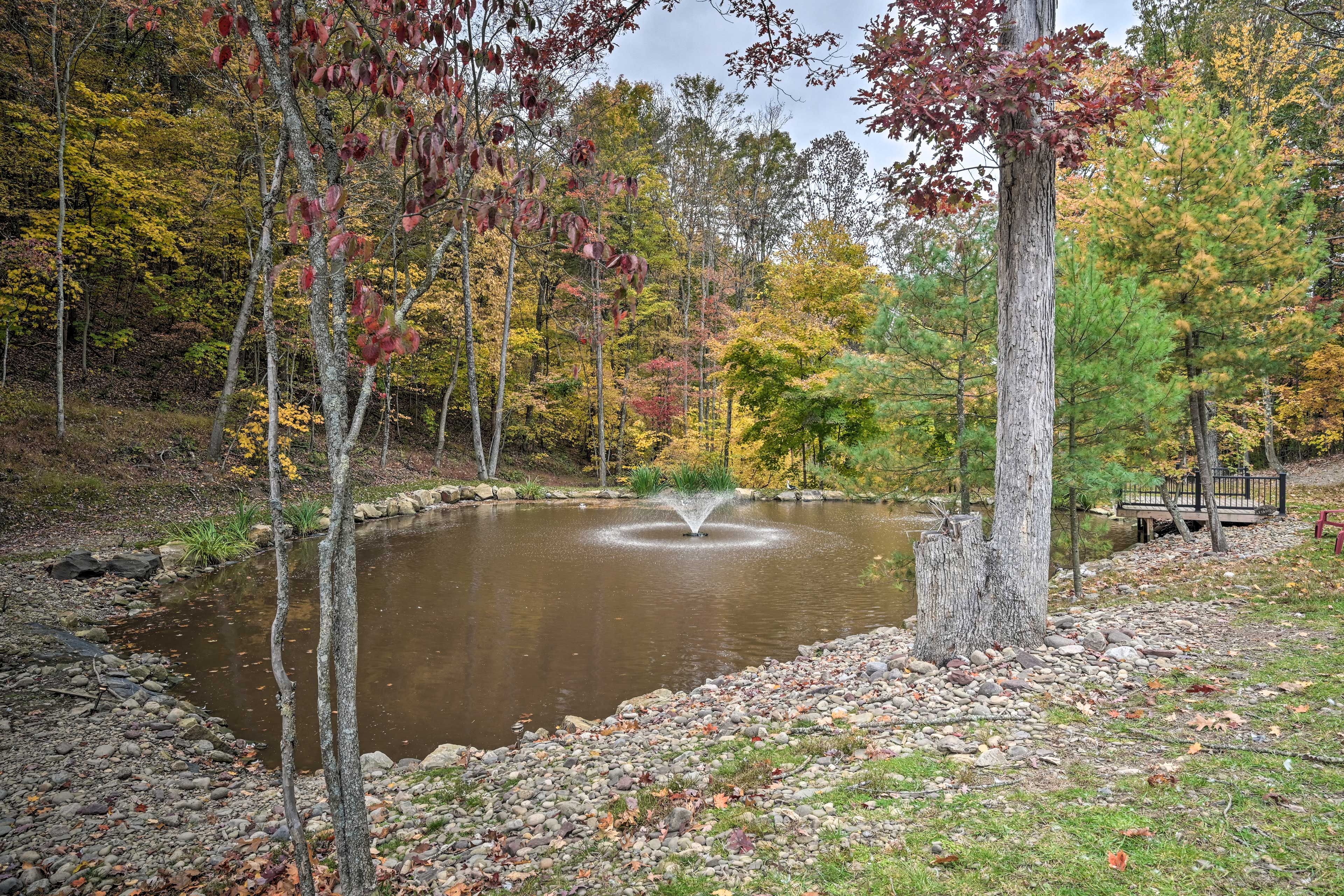 Urban Saddle Ranch | On-Site Pond