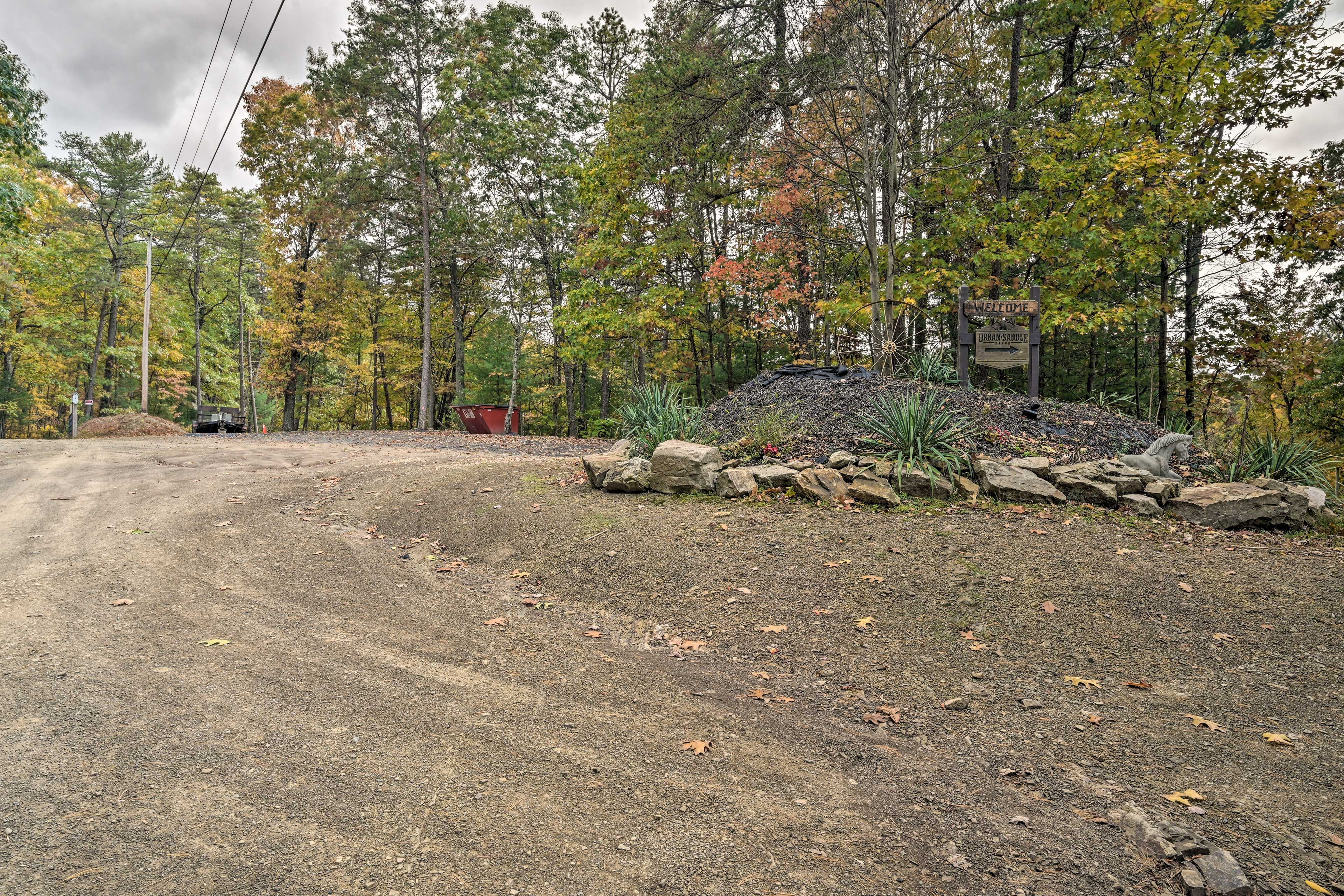 Image 49