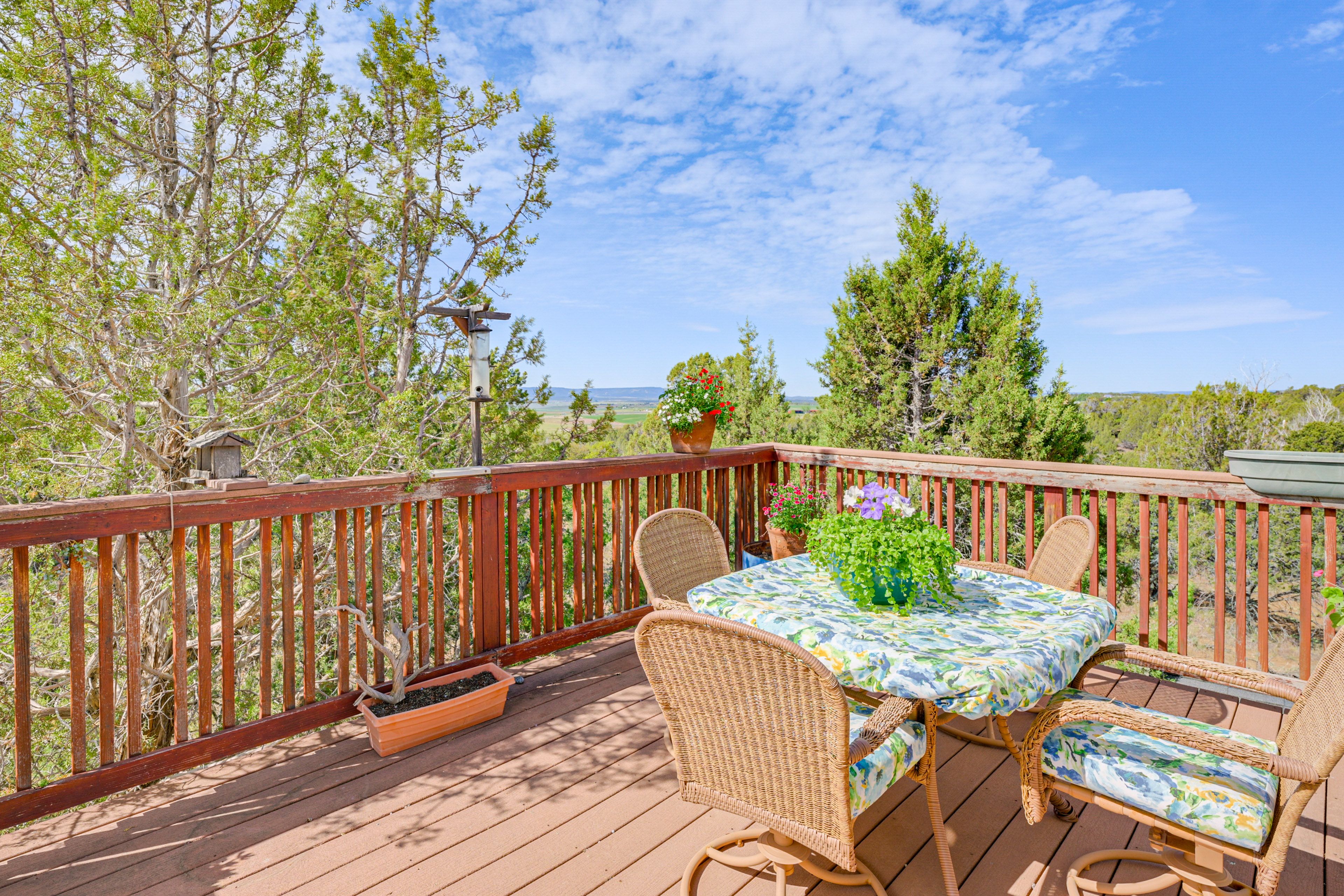 Deck
