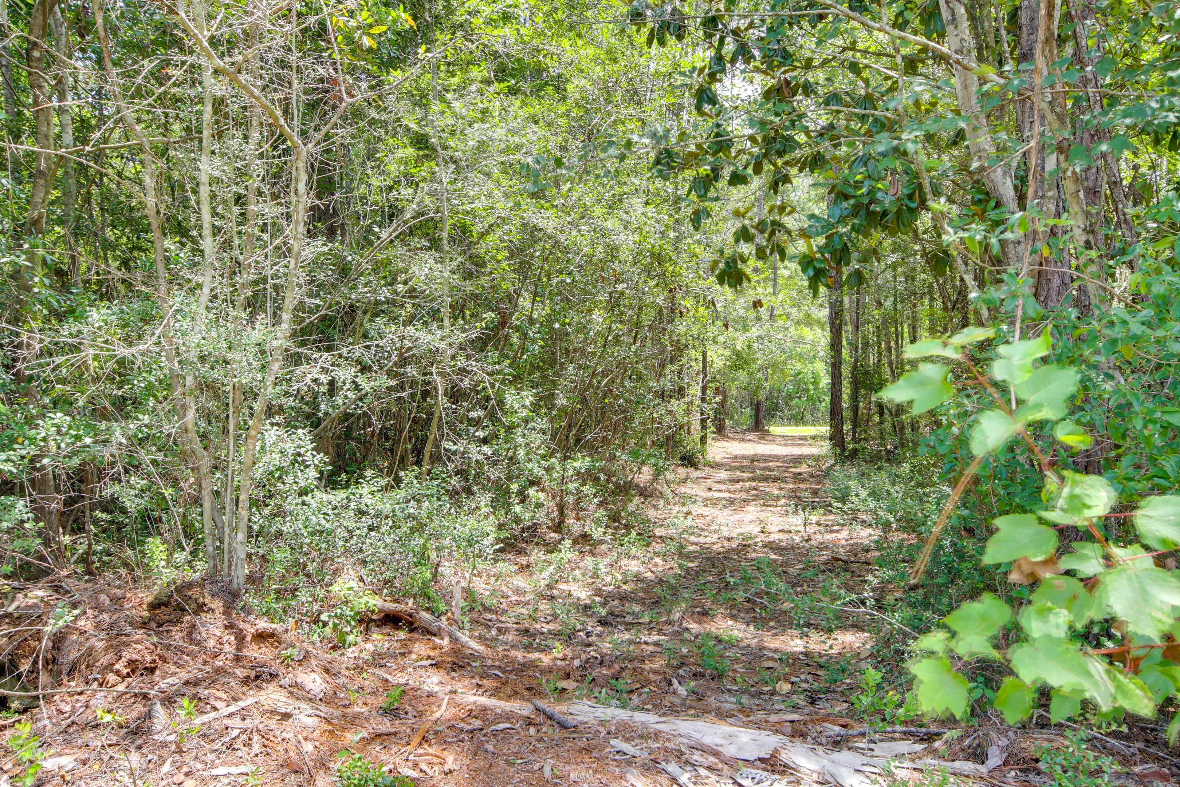 Community Walking Trail