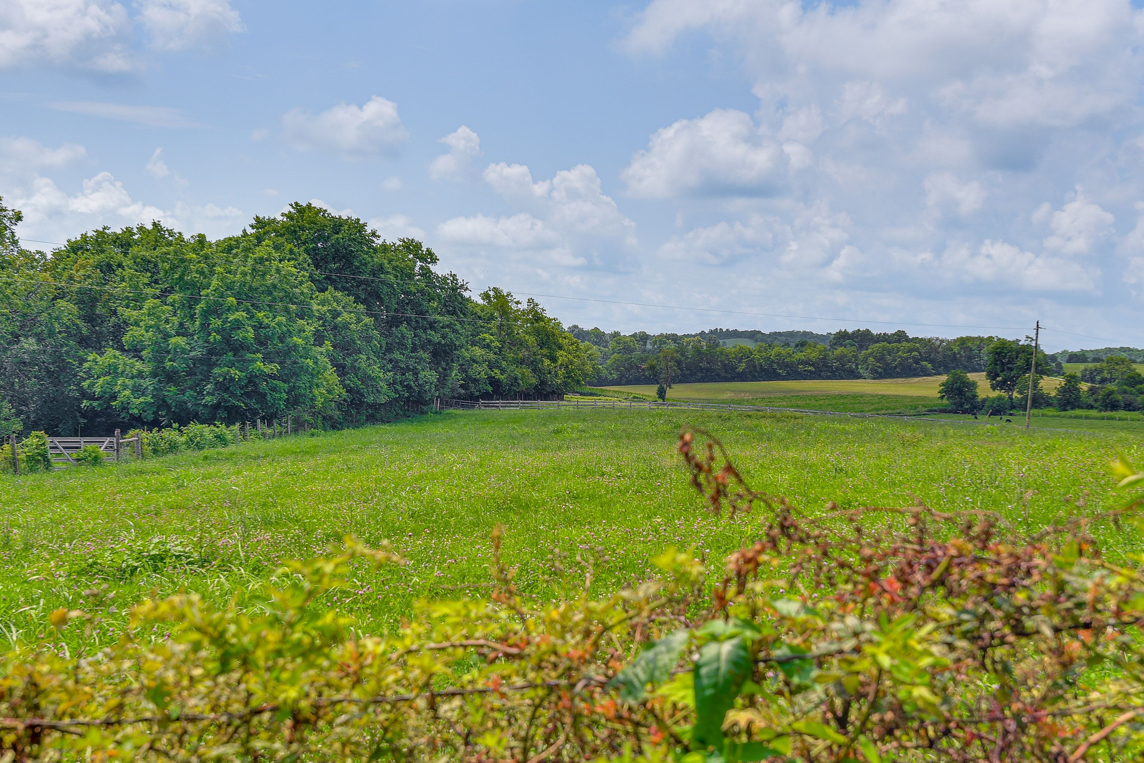 Surrounding Property