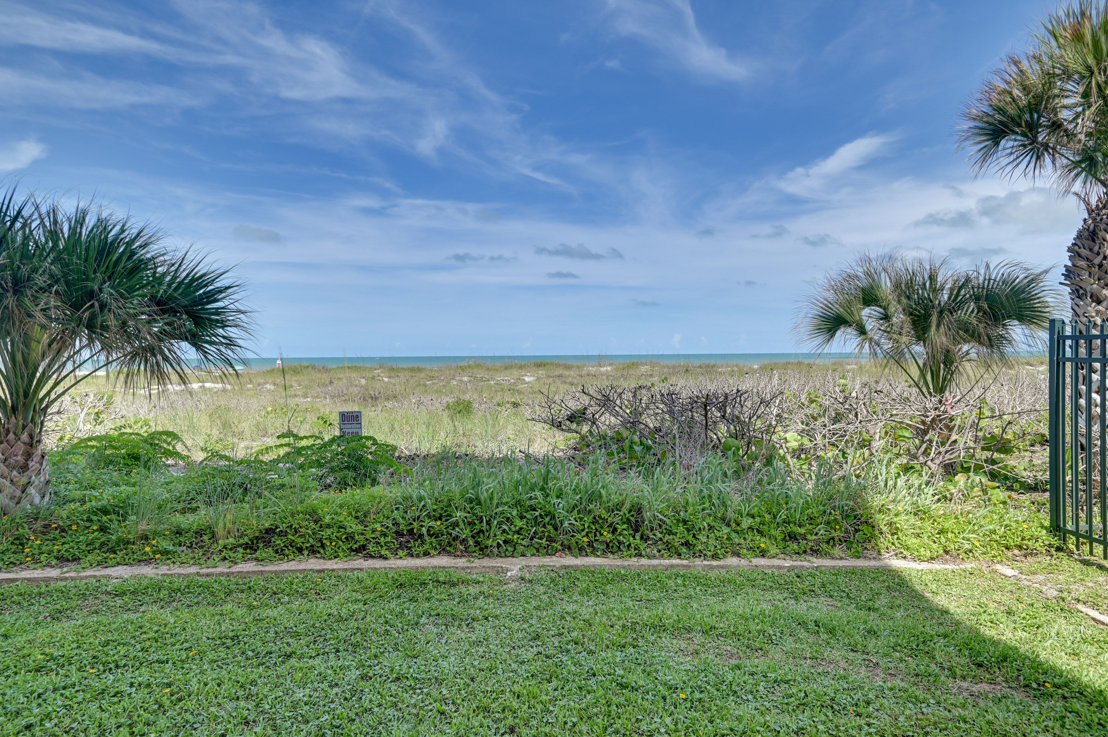 View From Patio