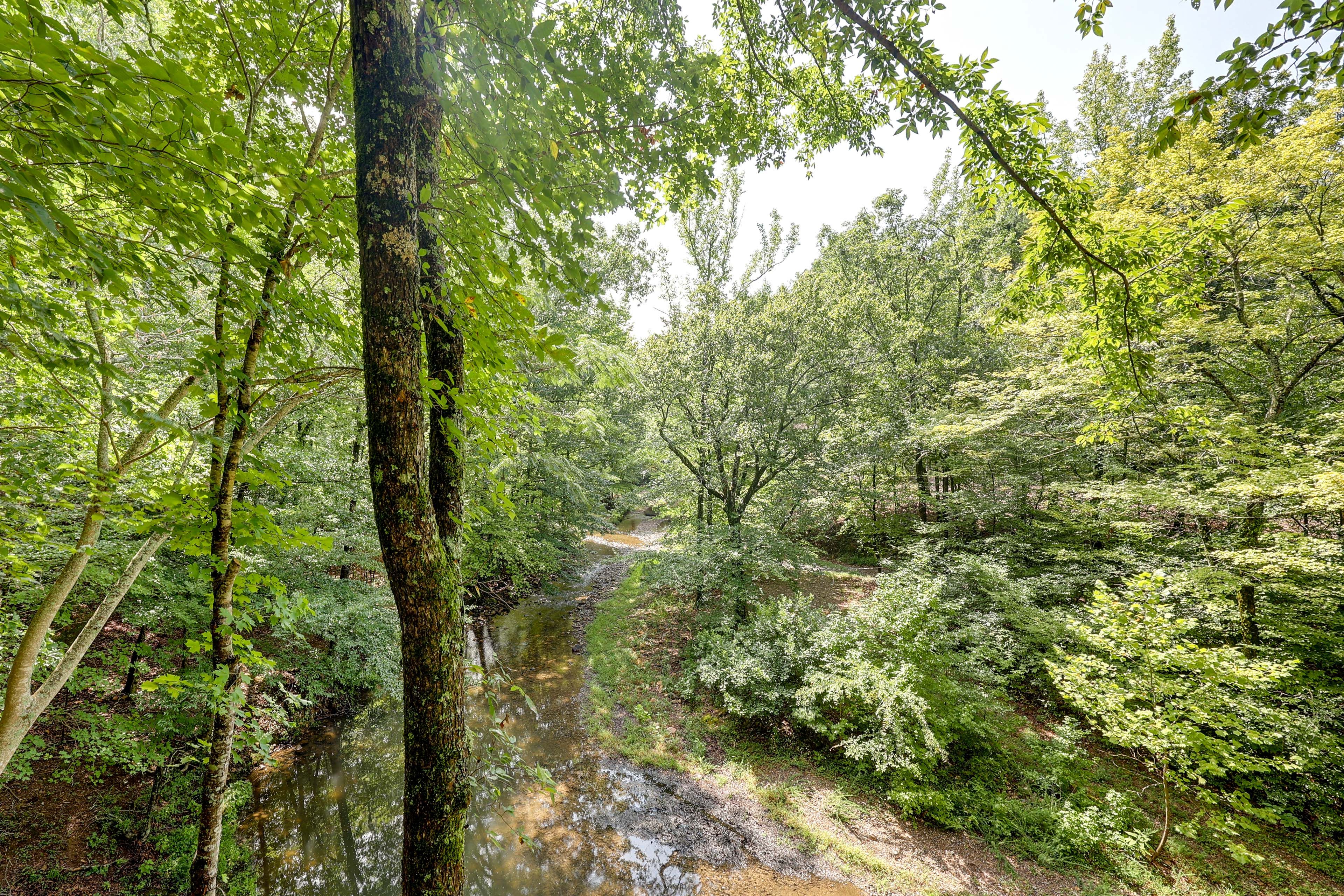 Image 25